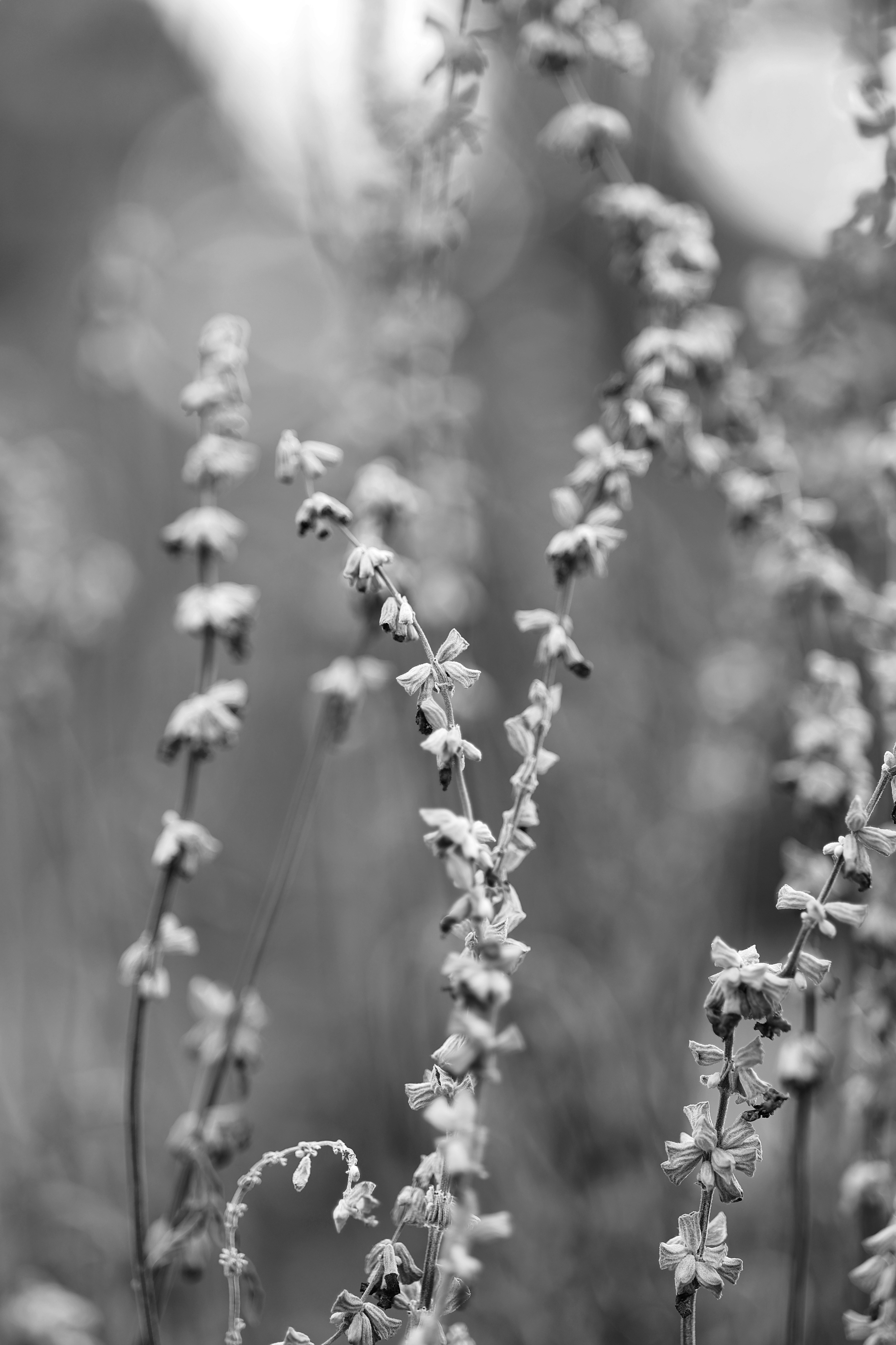 Photo by joshua_hoehne