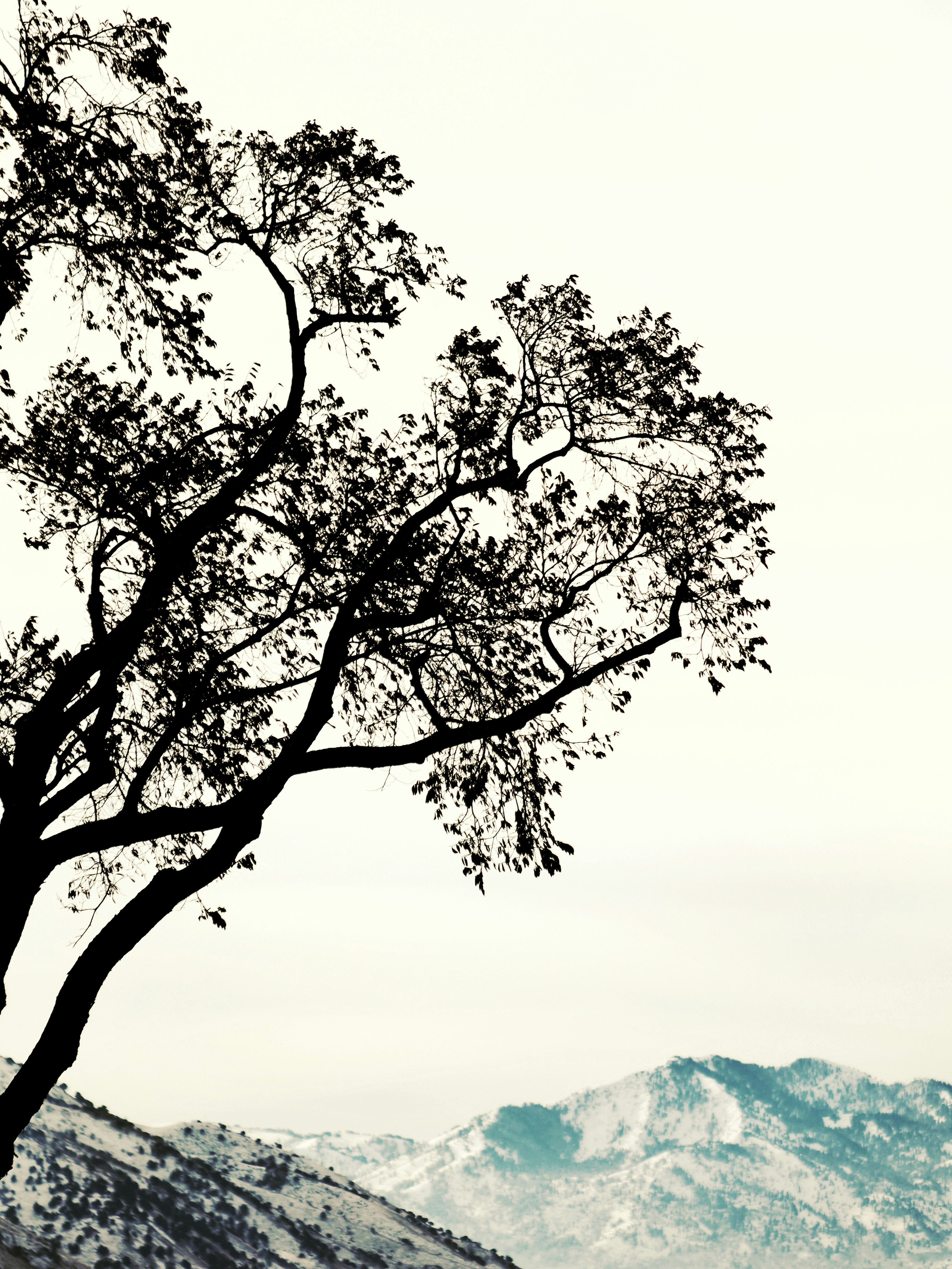 Photo by joshua_hoehne