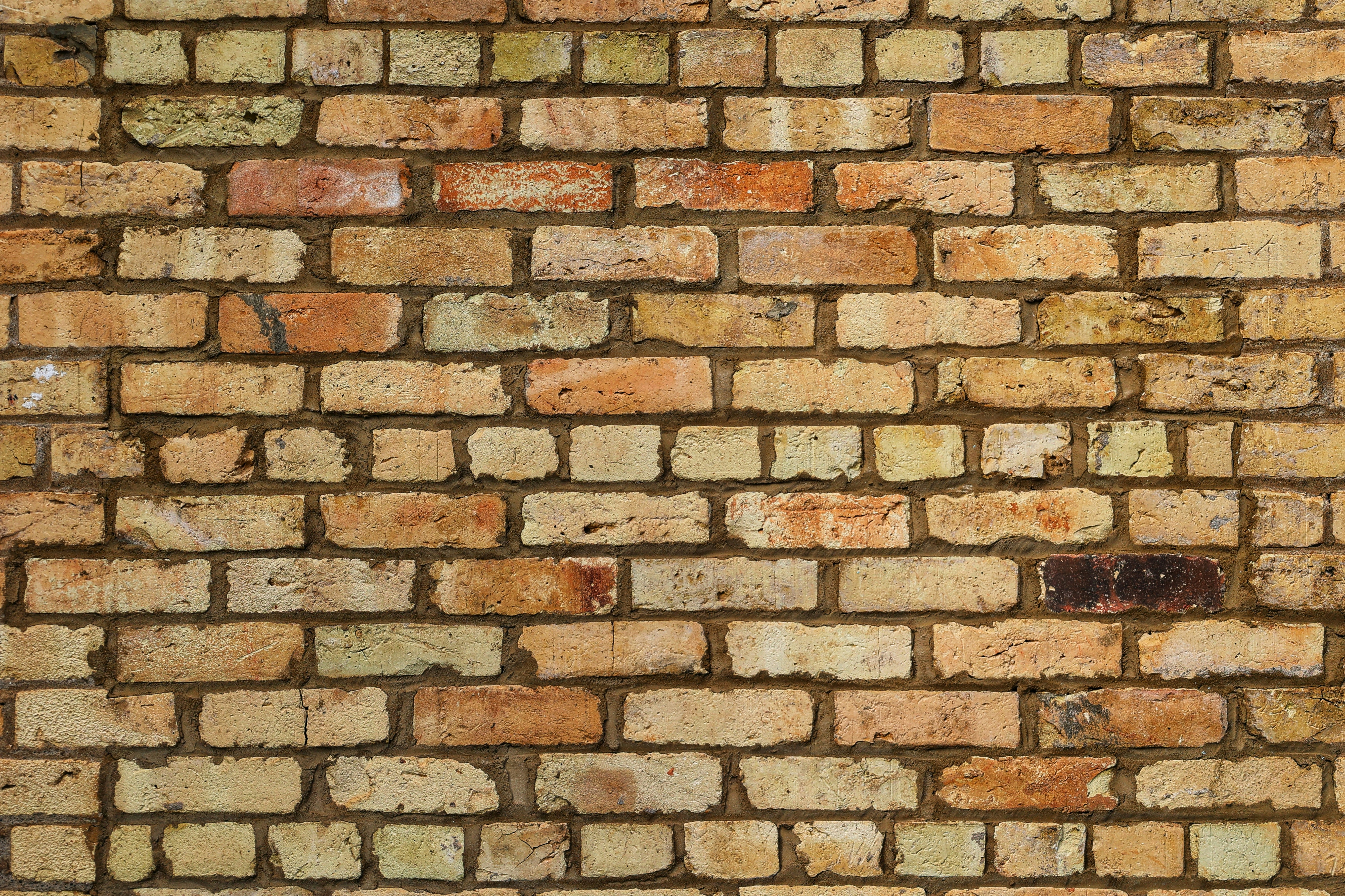 Photo by joshua_hoehne