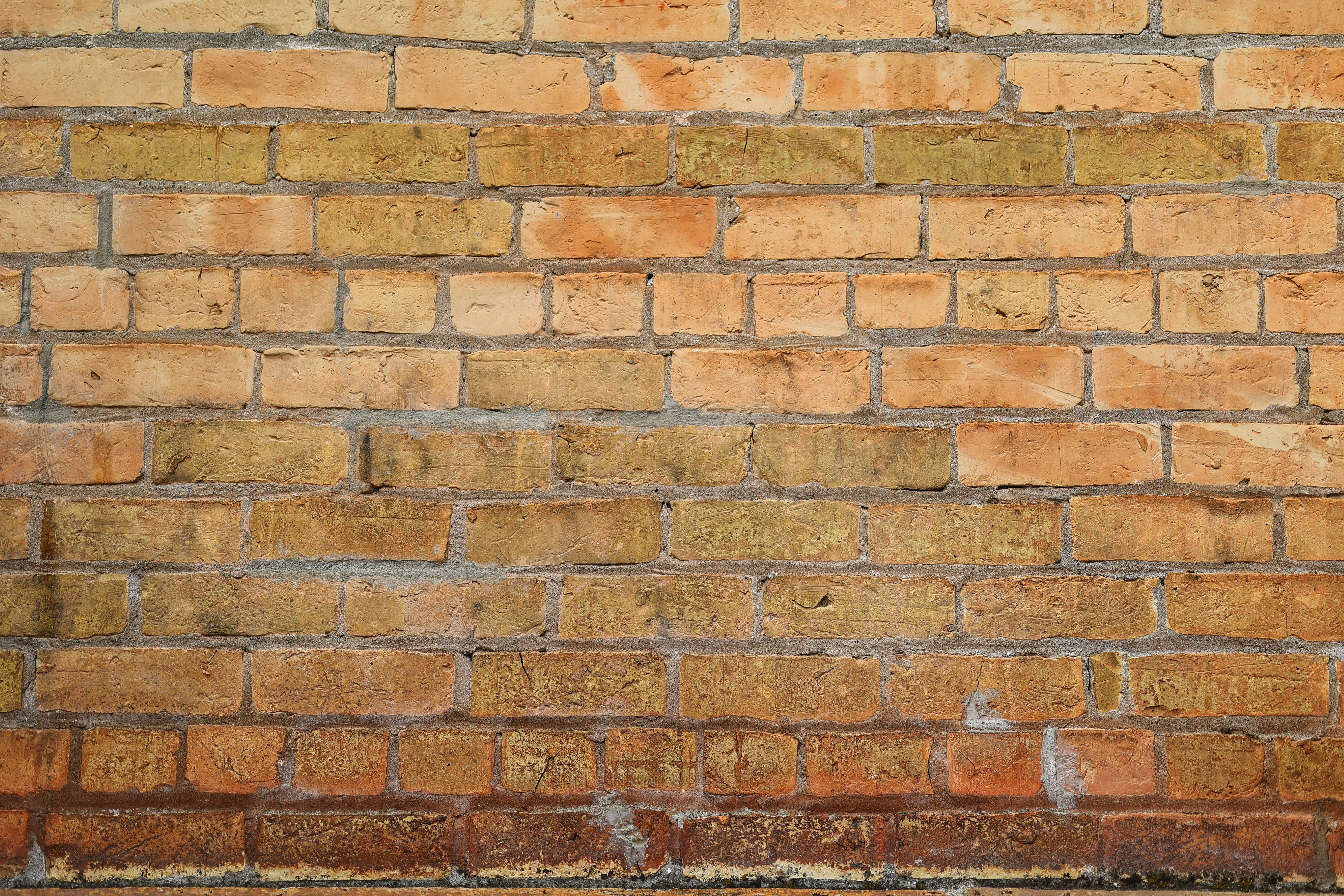 Photo by joshua_hoehne