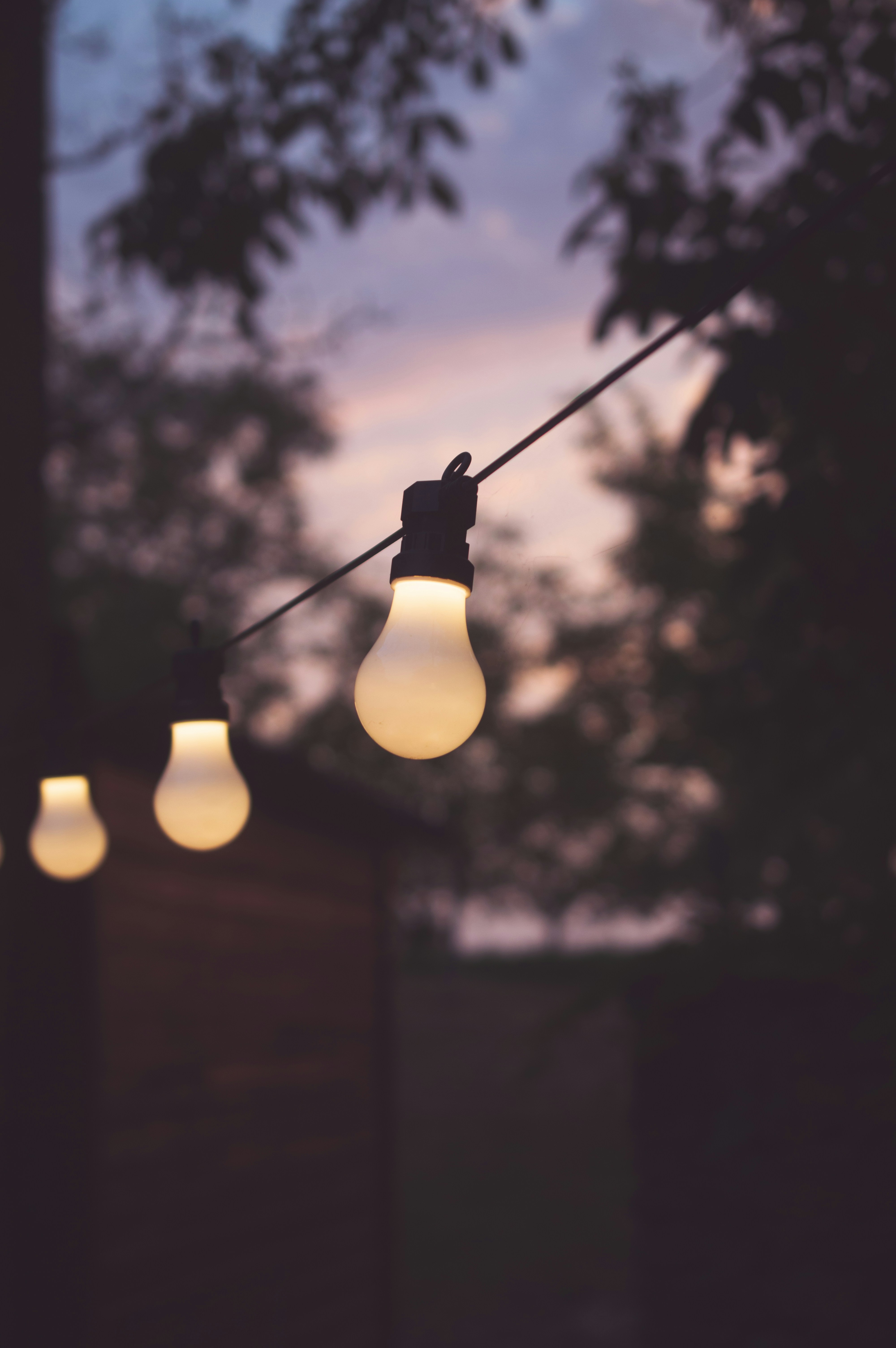 Photo by colinfitzgerald328