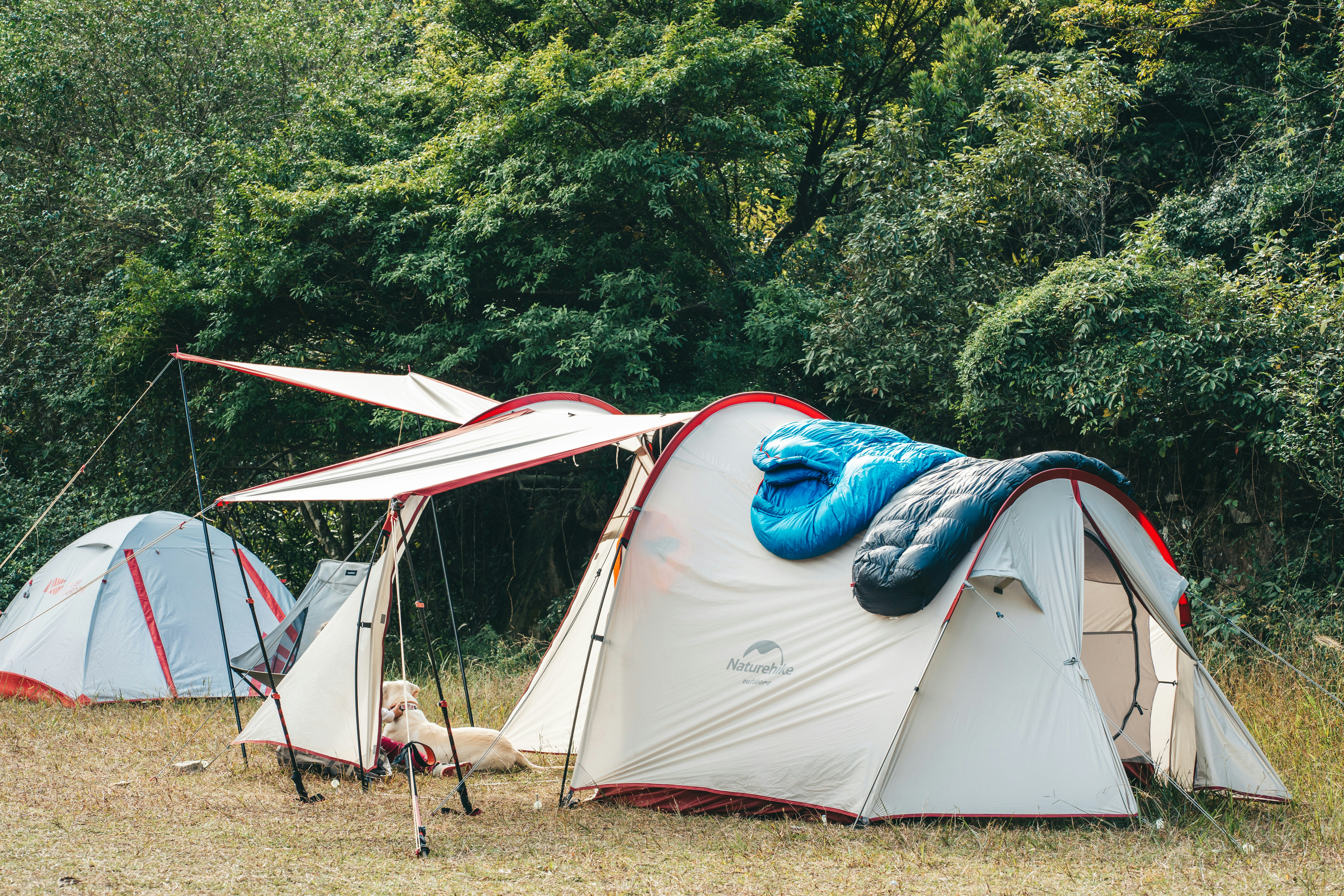 Image de Tomorrowland 2025 : le festival survit à l’incendie de sa scène principale