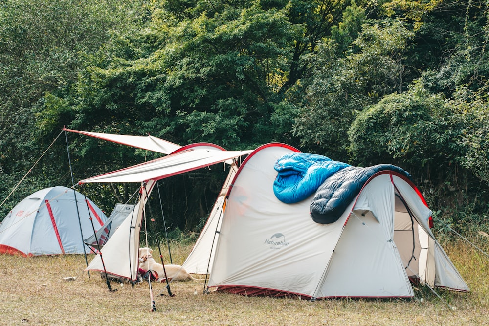 a group of tents in a field