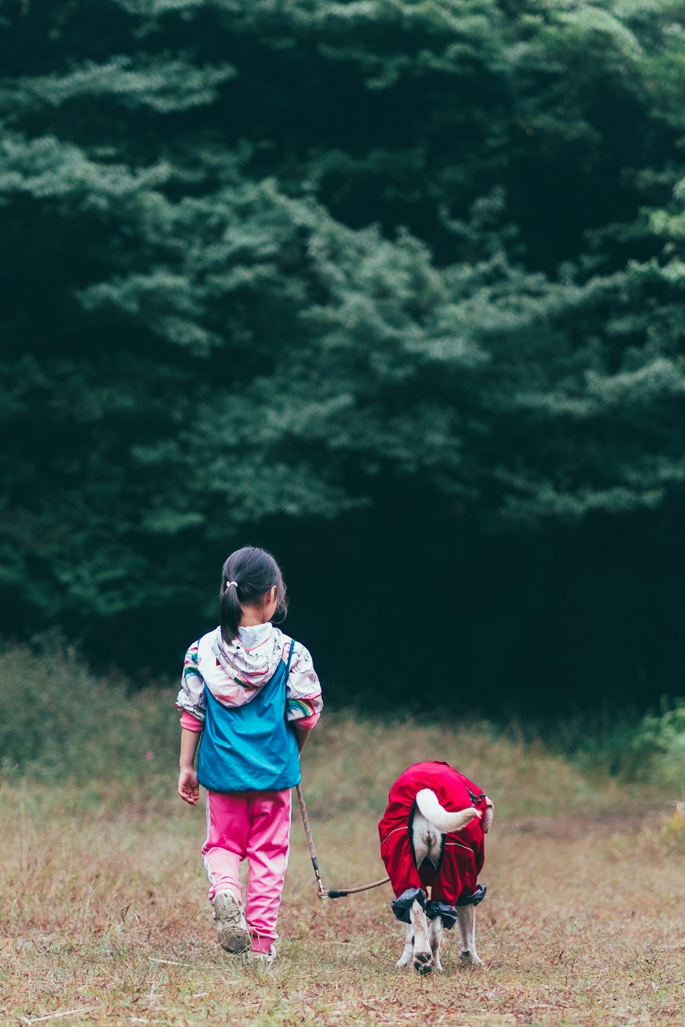 a couple of girls walking with dogs