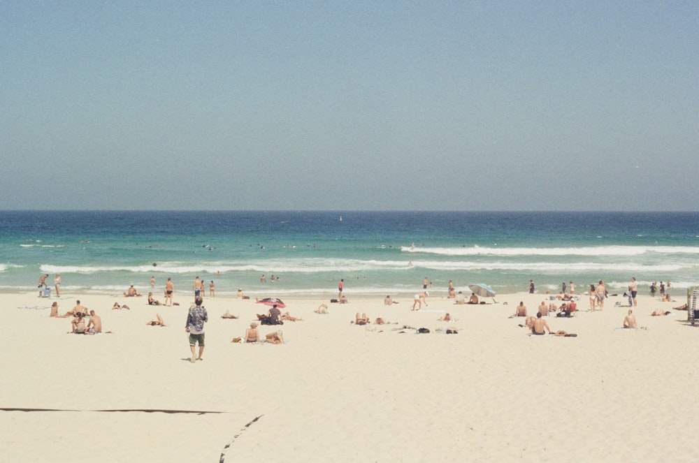 a large group of people at a beach