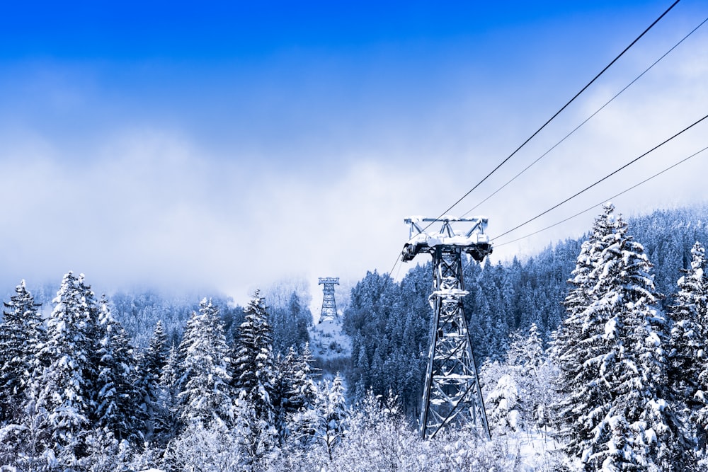 a group of power lines over a snowy forest