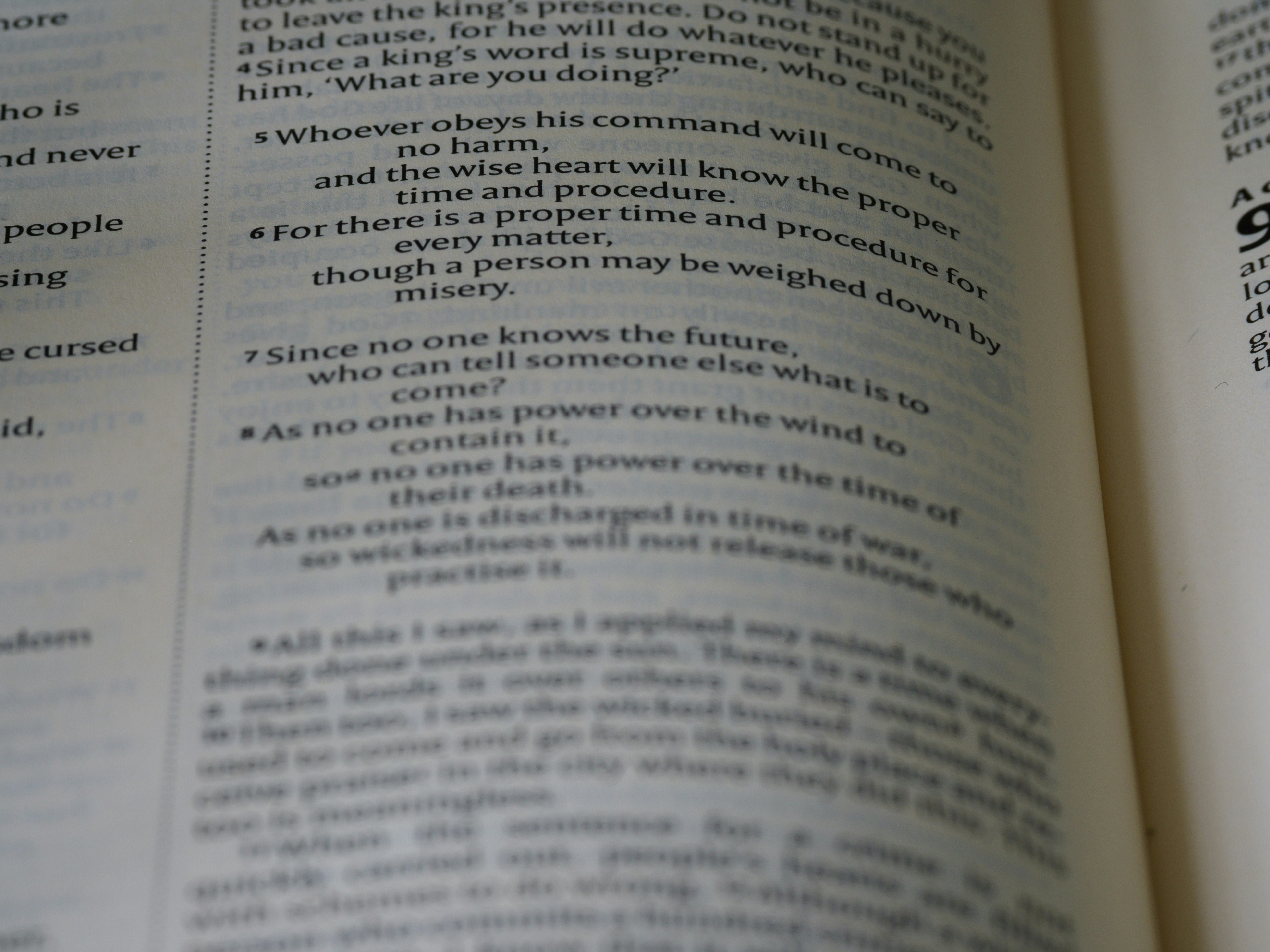 close up, bokeh, macro, blur, blurred background, close focus, bible, old testament, hebrew bible, christian, judaism, history, text, reading, bible study, devotions, text, NIV, New International Version, type, typography, canon, christianity, holy scripture, holy bible, scripture, old testament, hebrew bible, wisdom literature, ketuvim, anthology, solomon, wisdom, sayings, mashai, folly, values, morality, proverbs, ancient wisdom, hebrew wisdom, קֹהֶלֶת, qōheleṯ, Ἐκκλησιαστής, Kohelet, Koheleth, Qoheleth, Qohelet, vanity, vapor, vapour, life truths, absurdity, ecclesiastes,