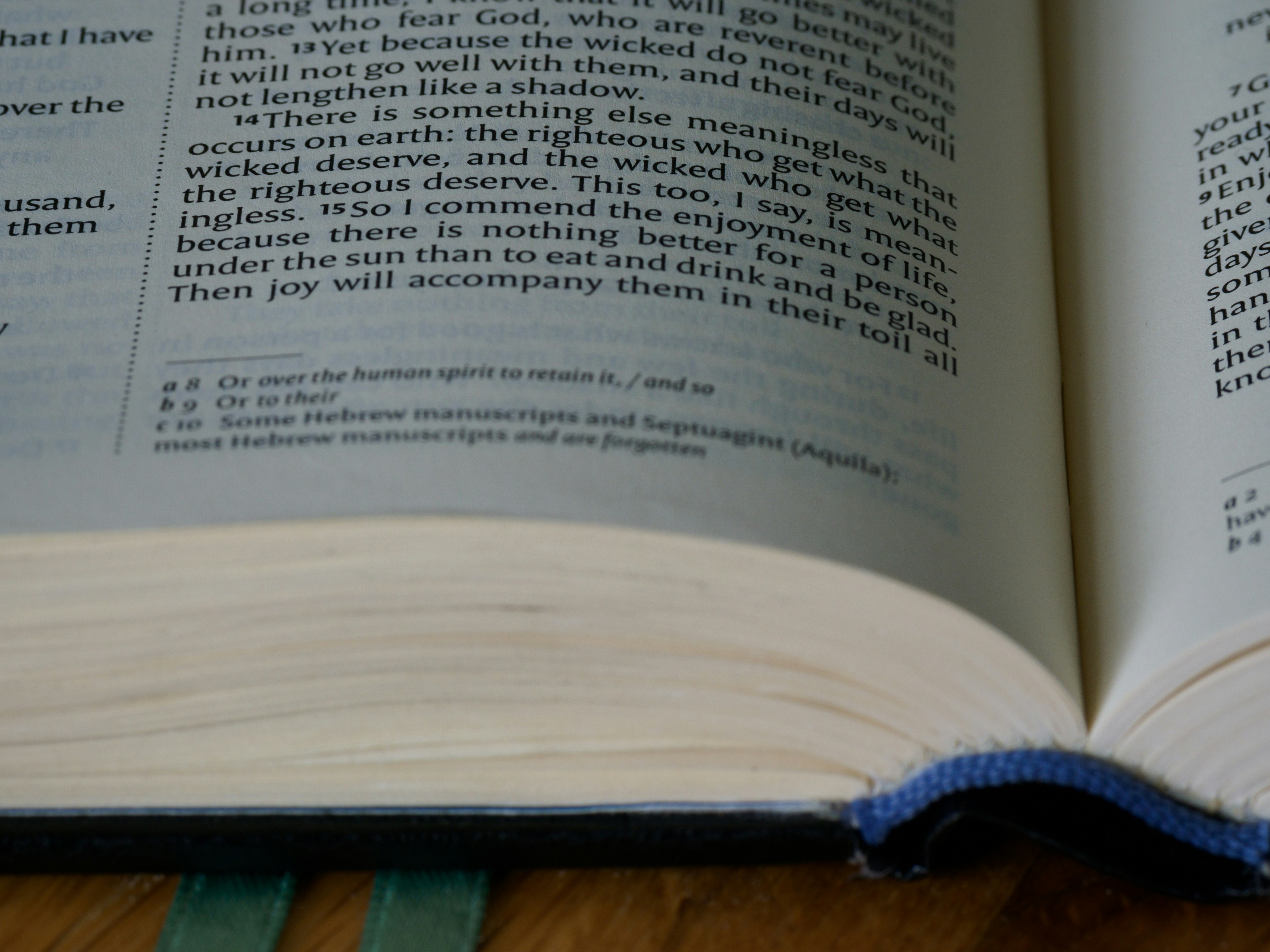 Photo by brett_jordan