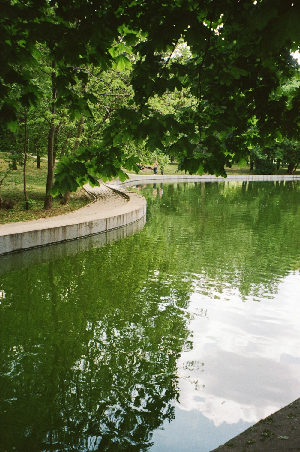 a body of water with trees around it