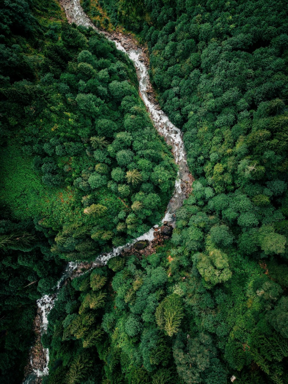 a winding road through a forest