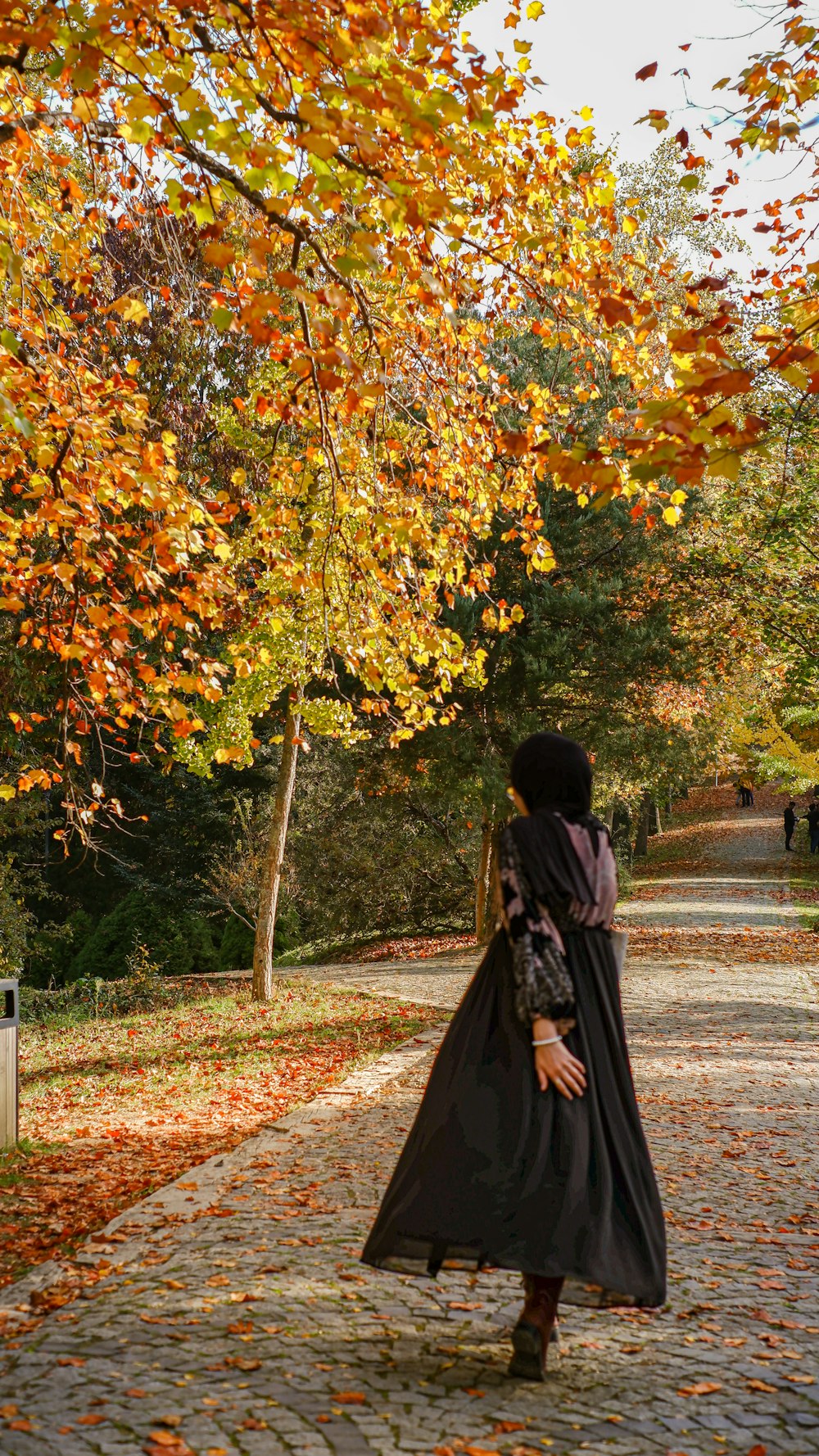 a person walking on a path with trees on either side of it