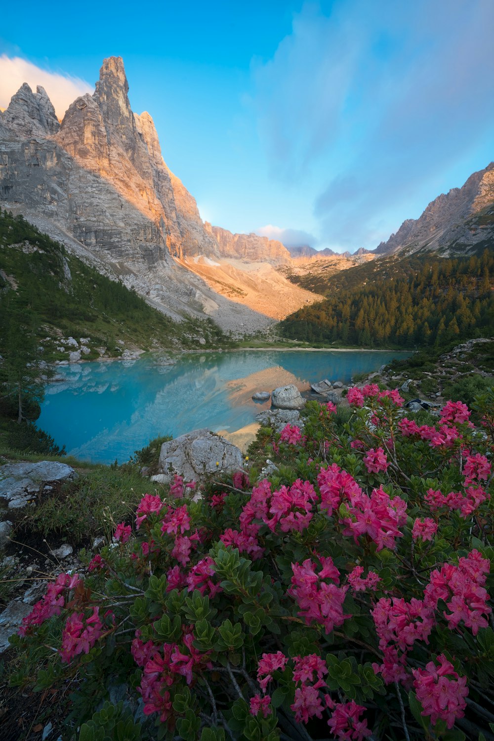 a river flowing through a valley with mountains in the background