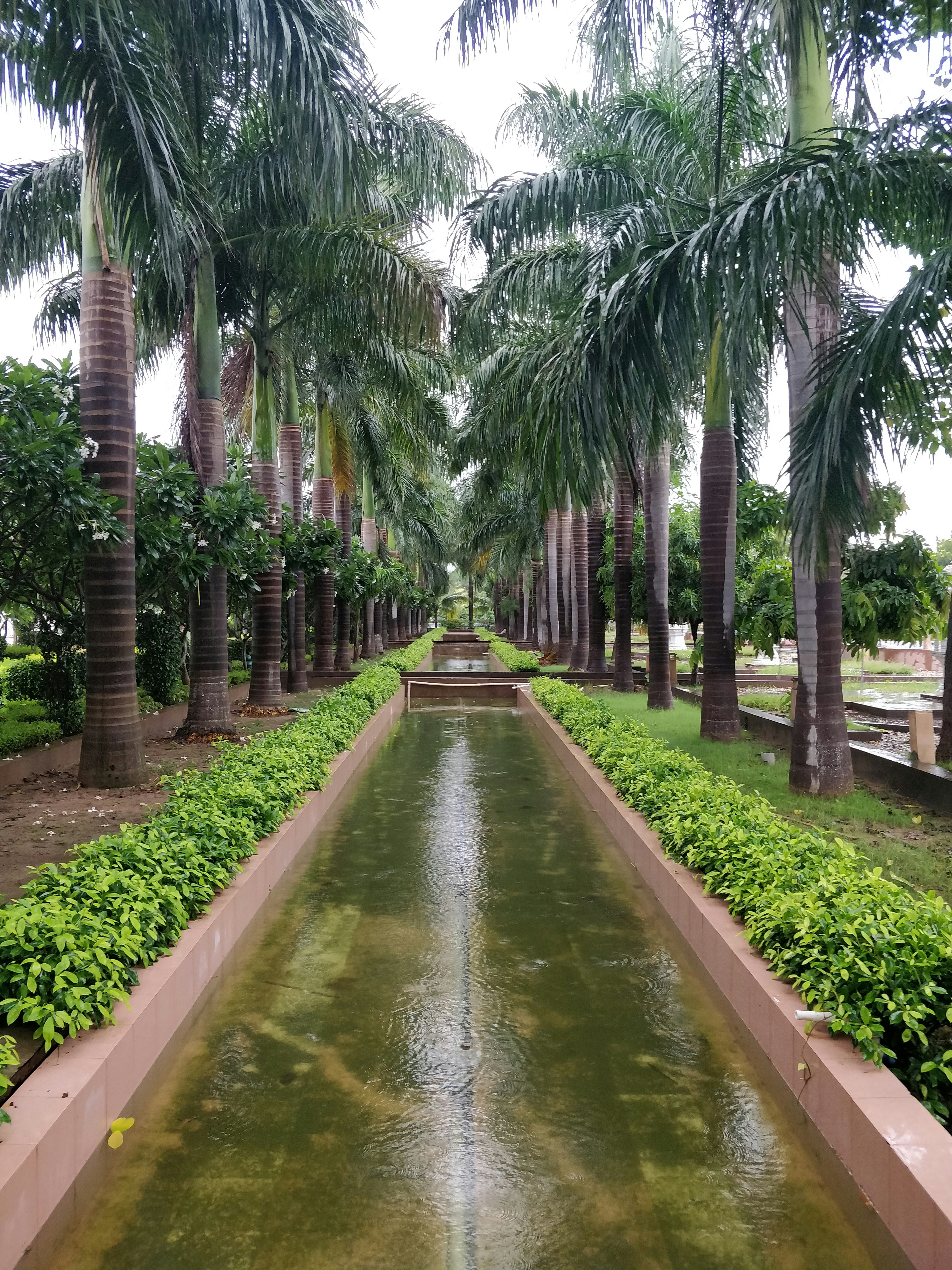 Aburi Botanical Gardens photo 2
