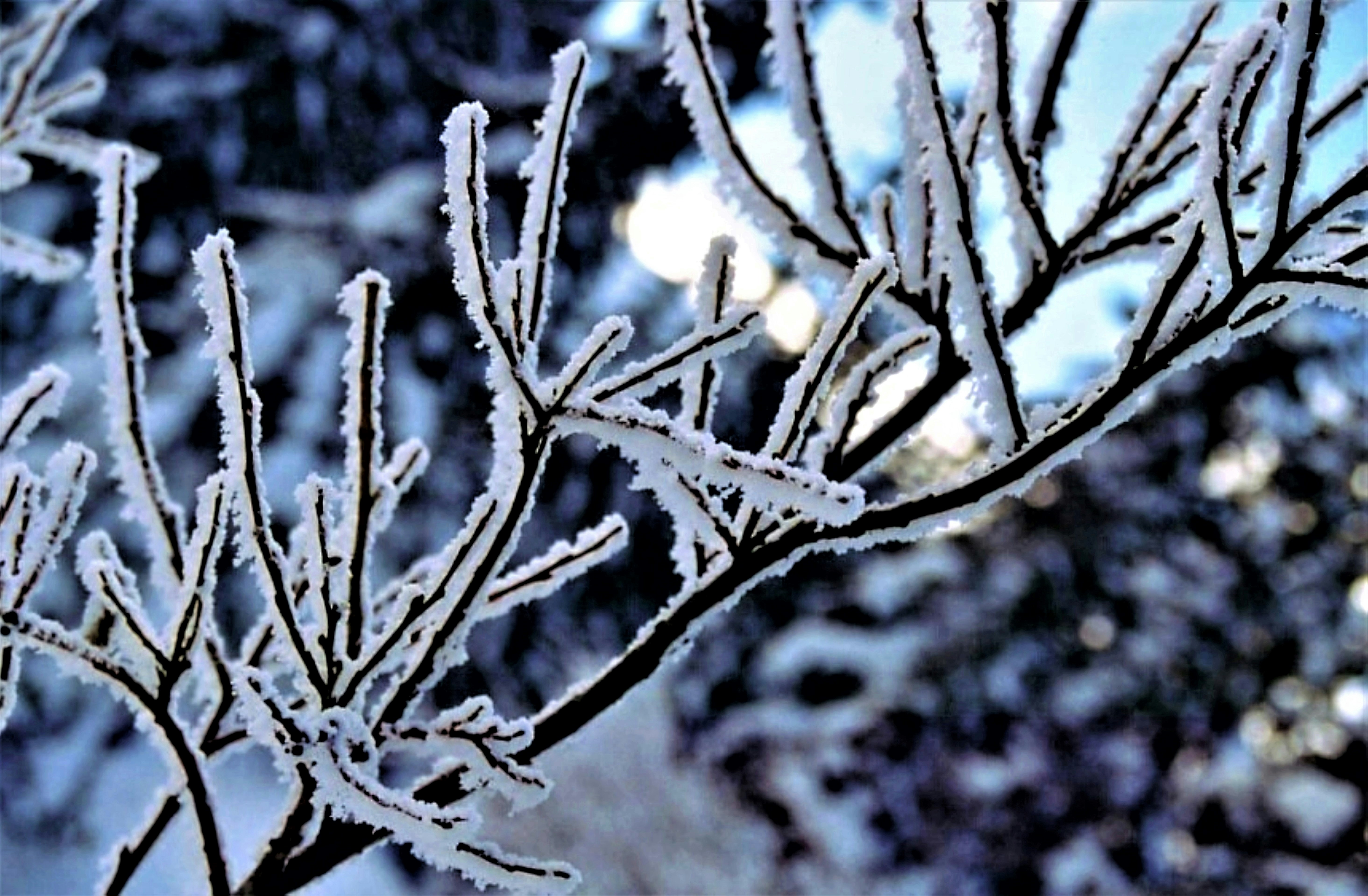 Photo by craigmanners_com