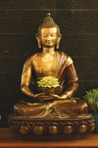 VIAJE A LA INDIA DESDE MEXICO