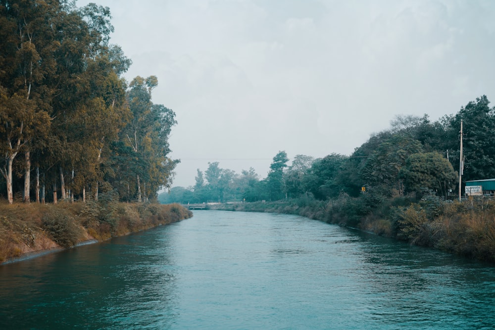 a river with trees on the side