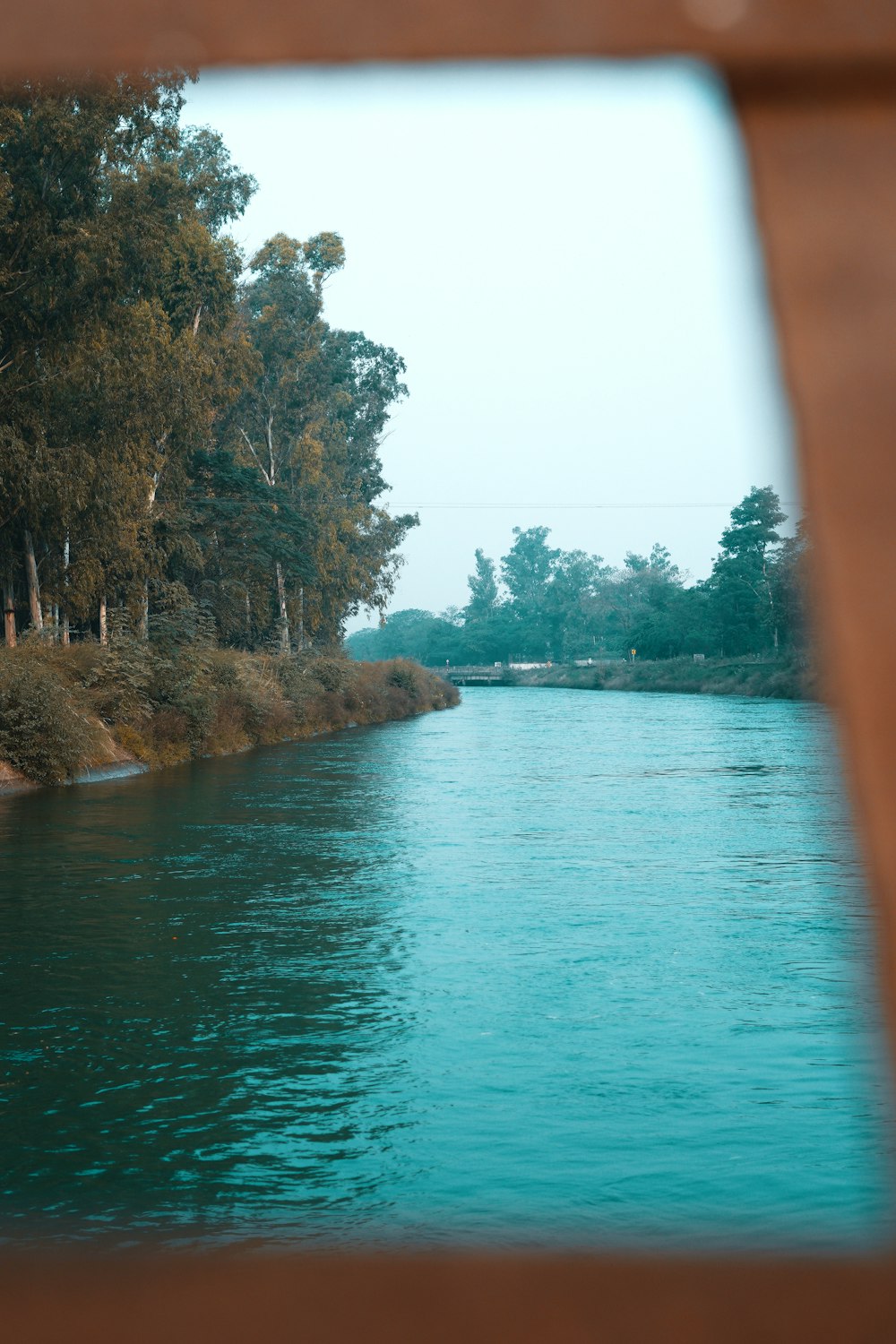 a body of water with trees around it