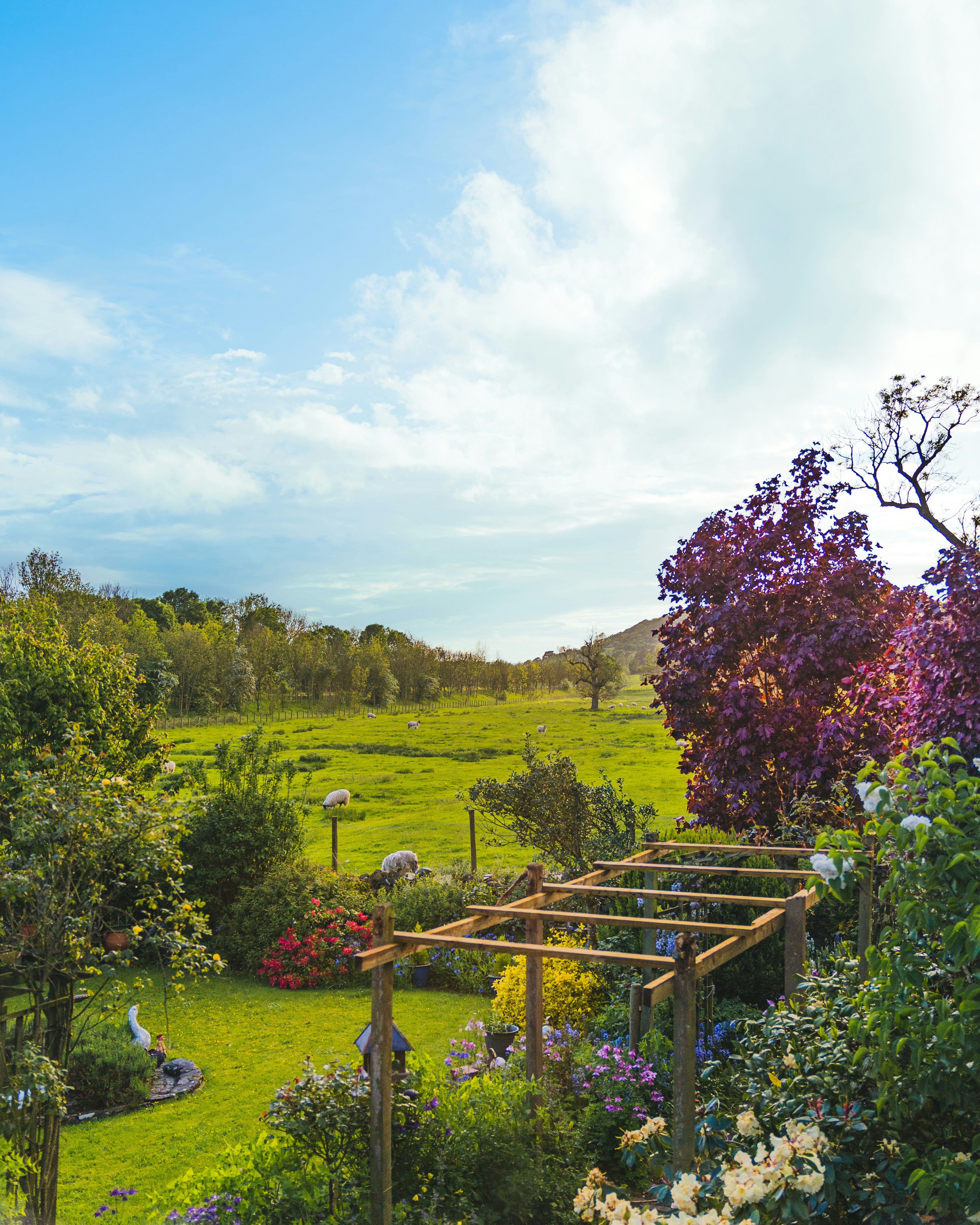 Photo by natalieparham