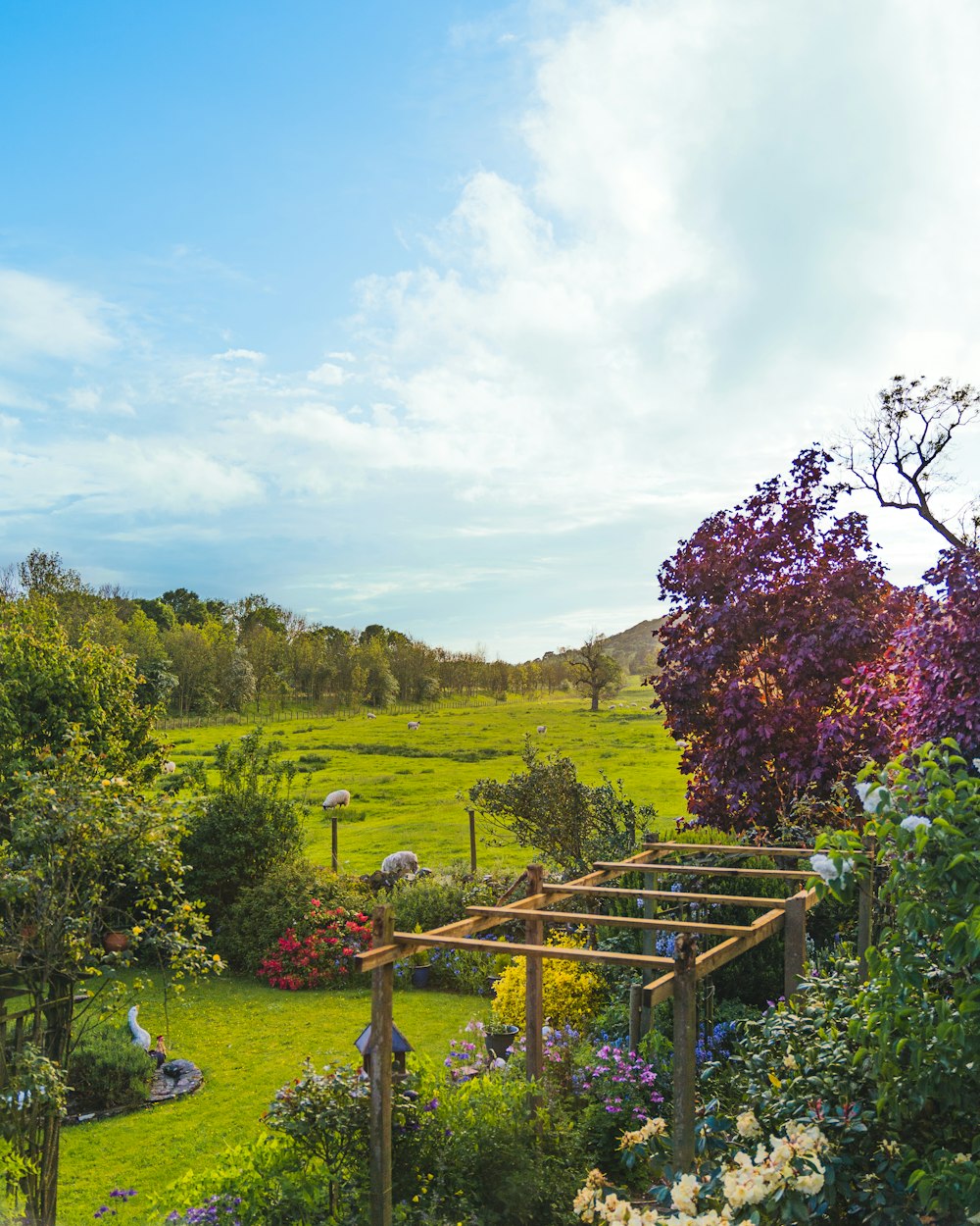 a garden with a wooden structure