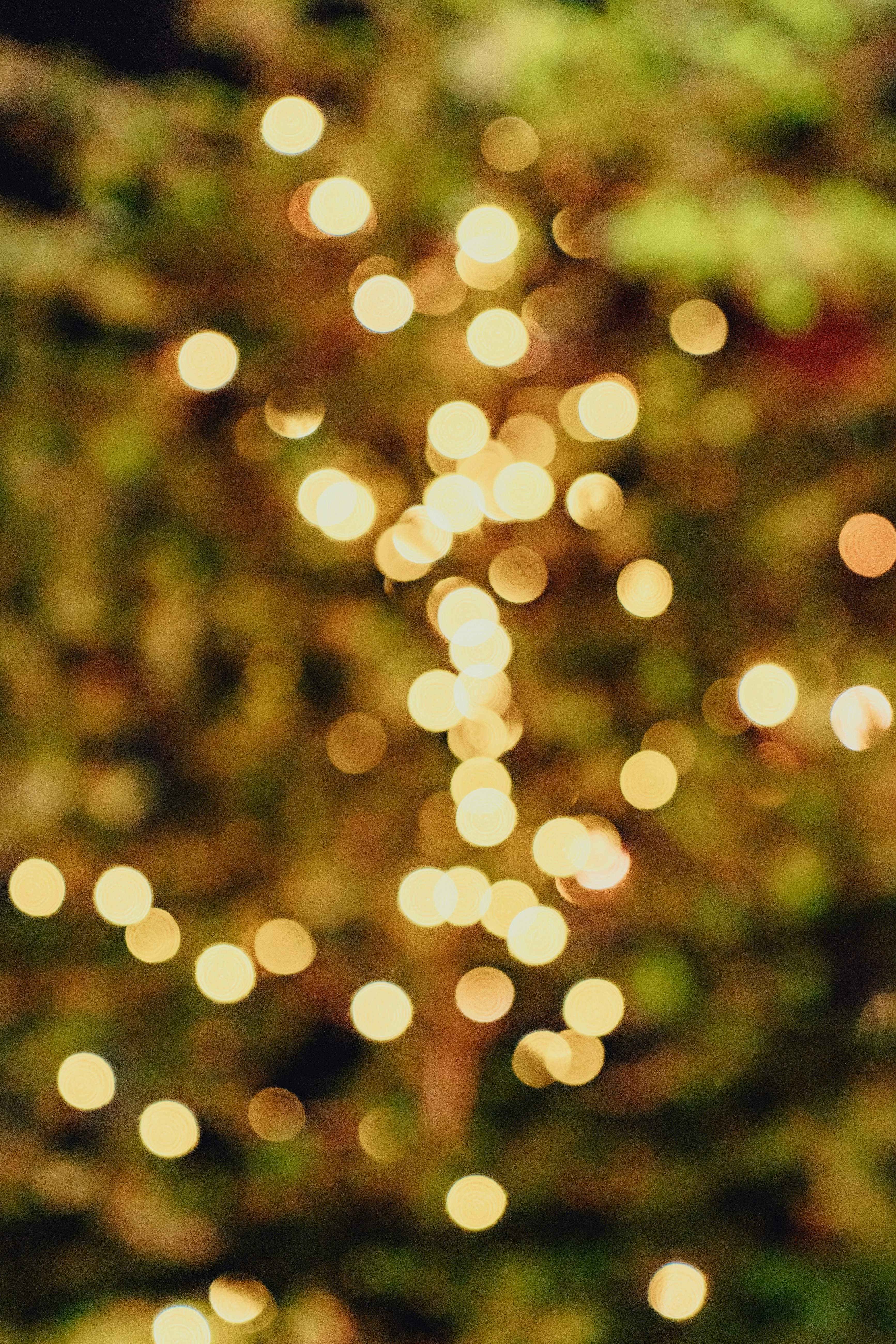 Photo by natalieparham