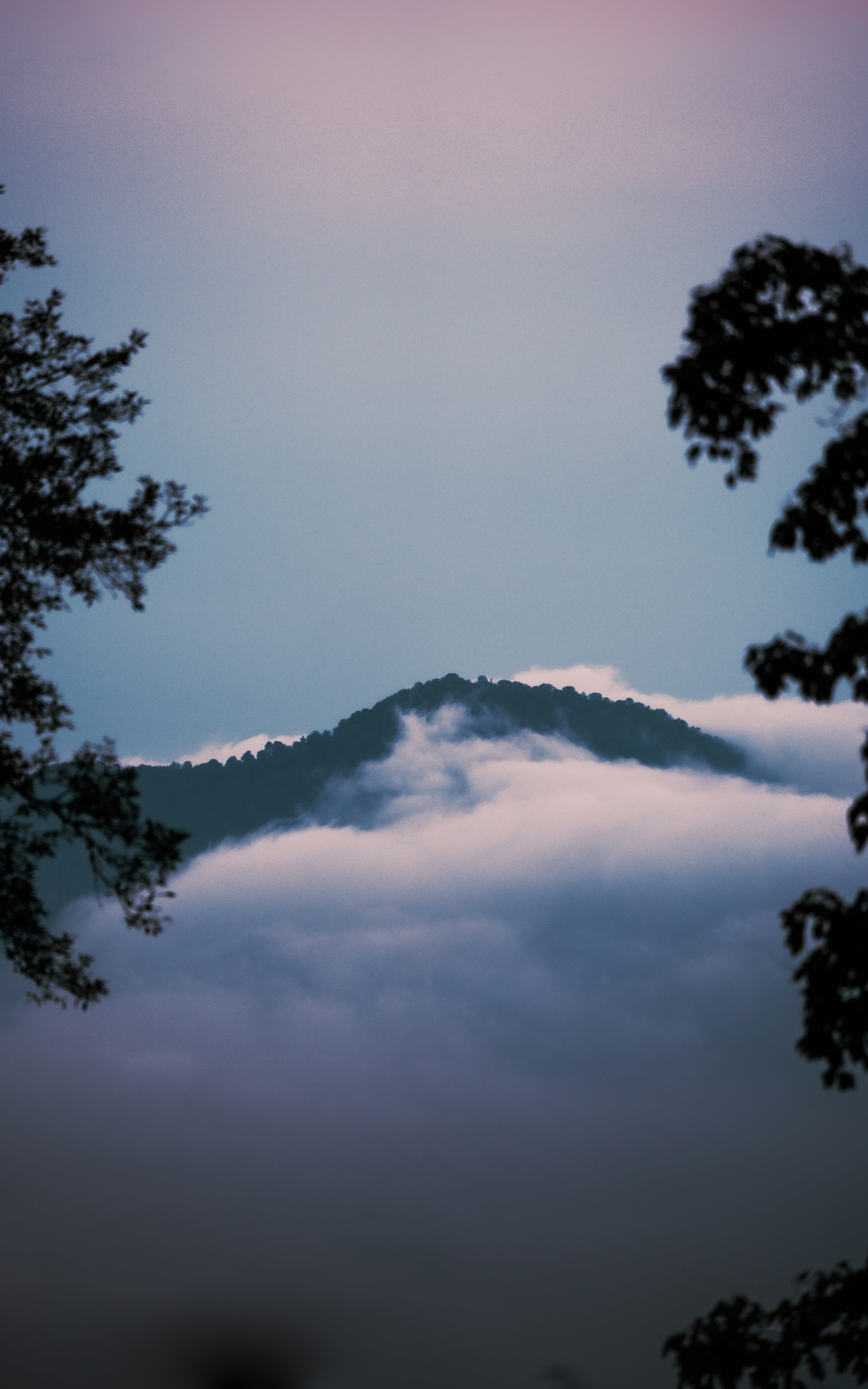 Photo by onlysiamak