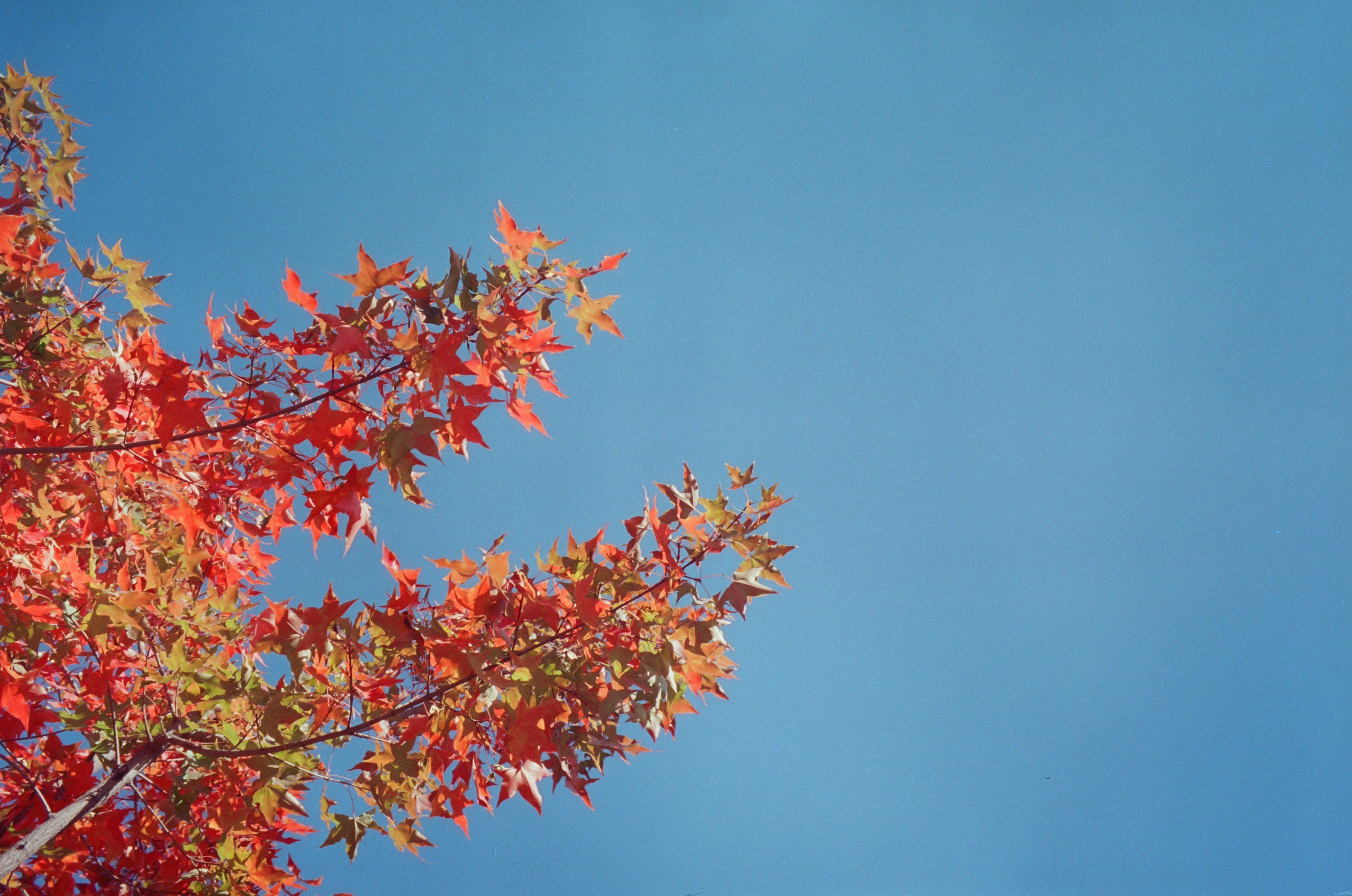 Photo by greedwolf97