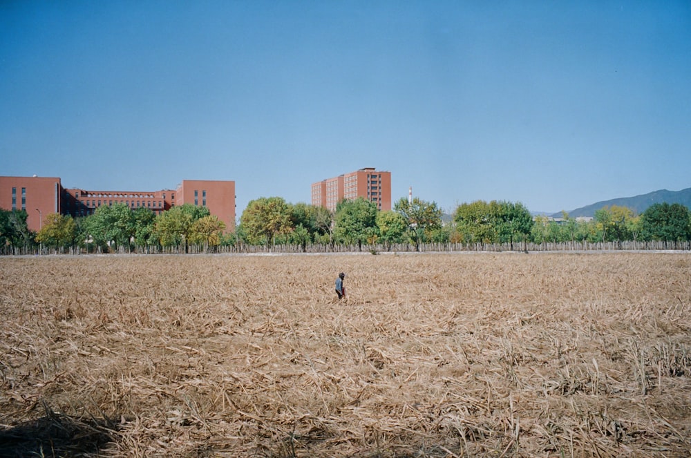 a person standing in a field