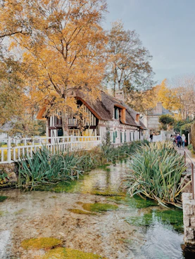 a house with a pond in front of it