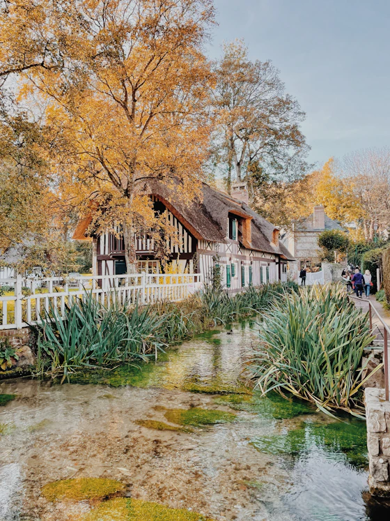 a house with a pond in front of it