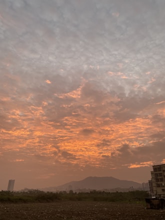 A vibrant collage showing a tropical beach, a mountain trail, and a bustling cityscape at sunset.