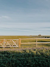 a field of plants and a fence