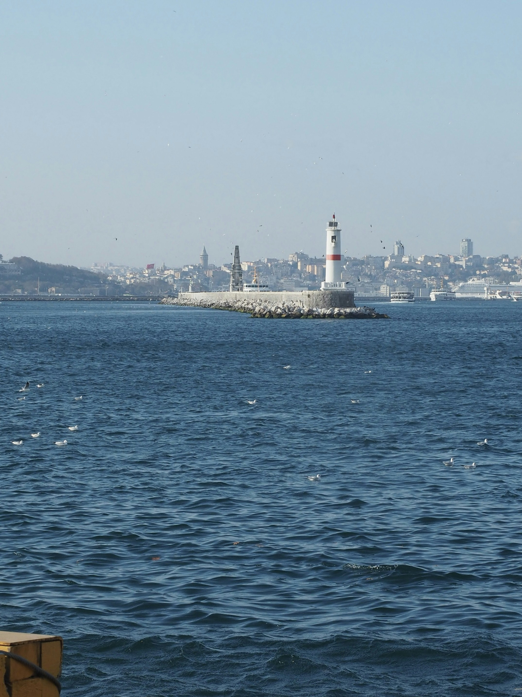 Photo by ruslanosaur