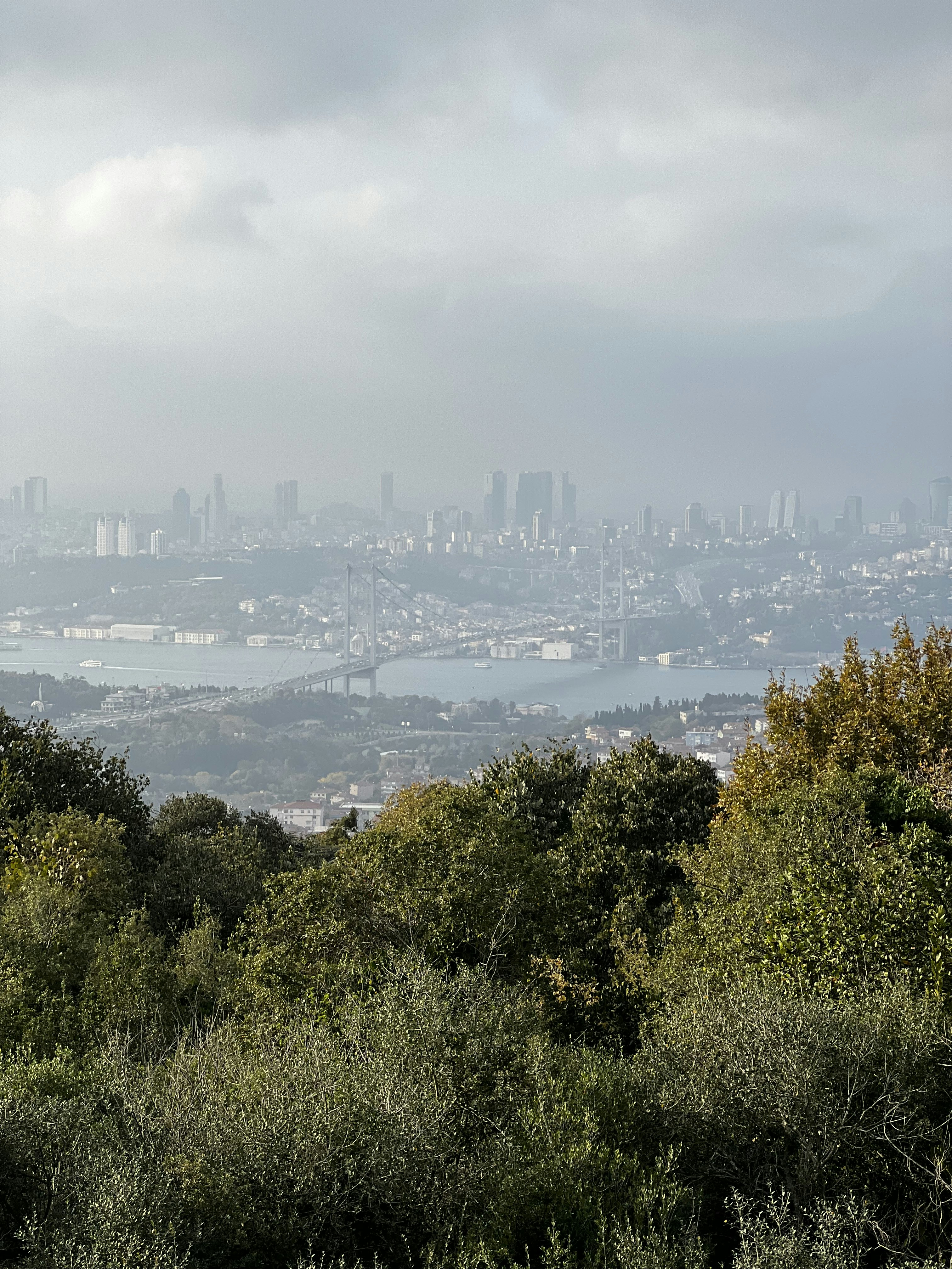 Photo by ruslanosaur