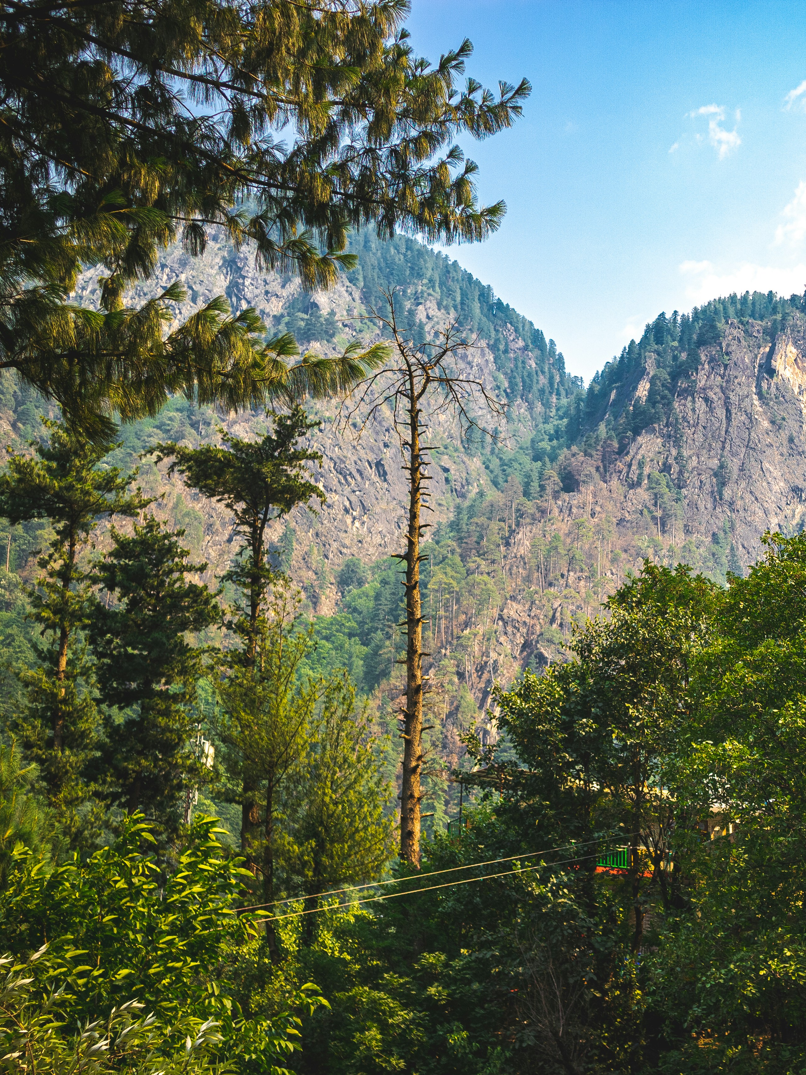 Photo by leviaripronk