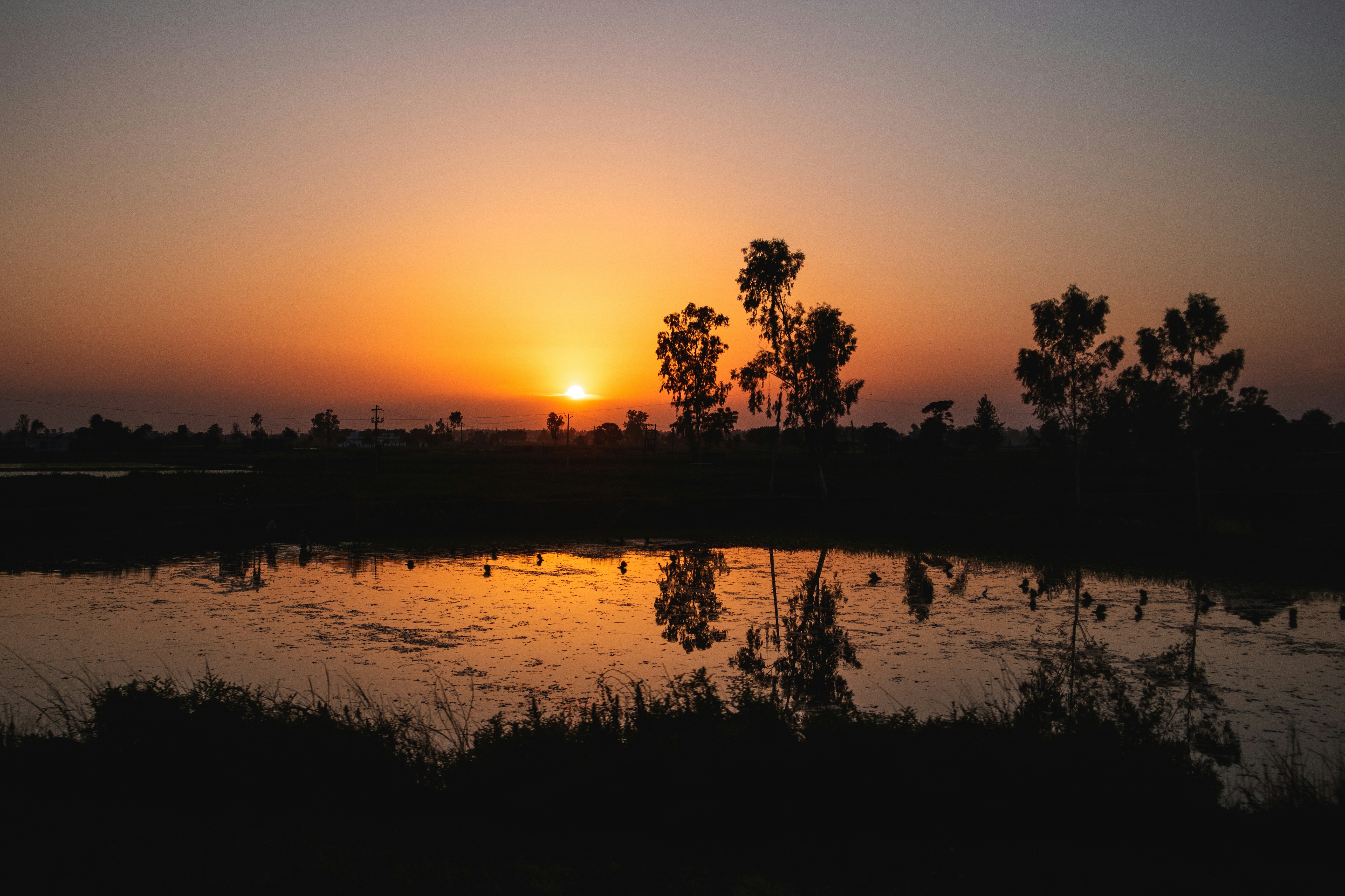 Punjab, India - None