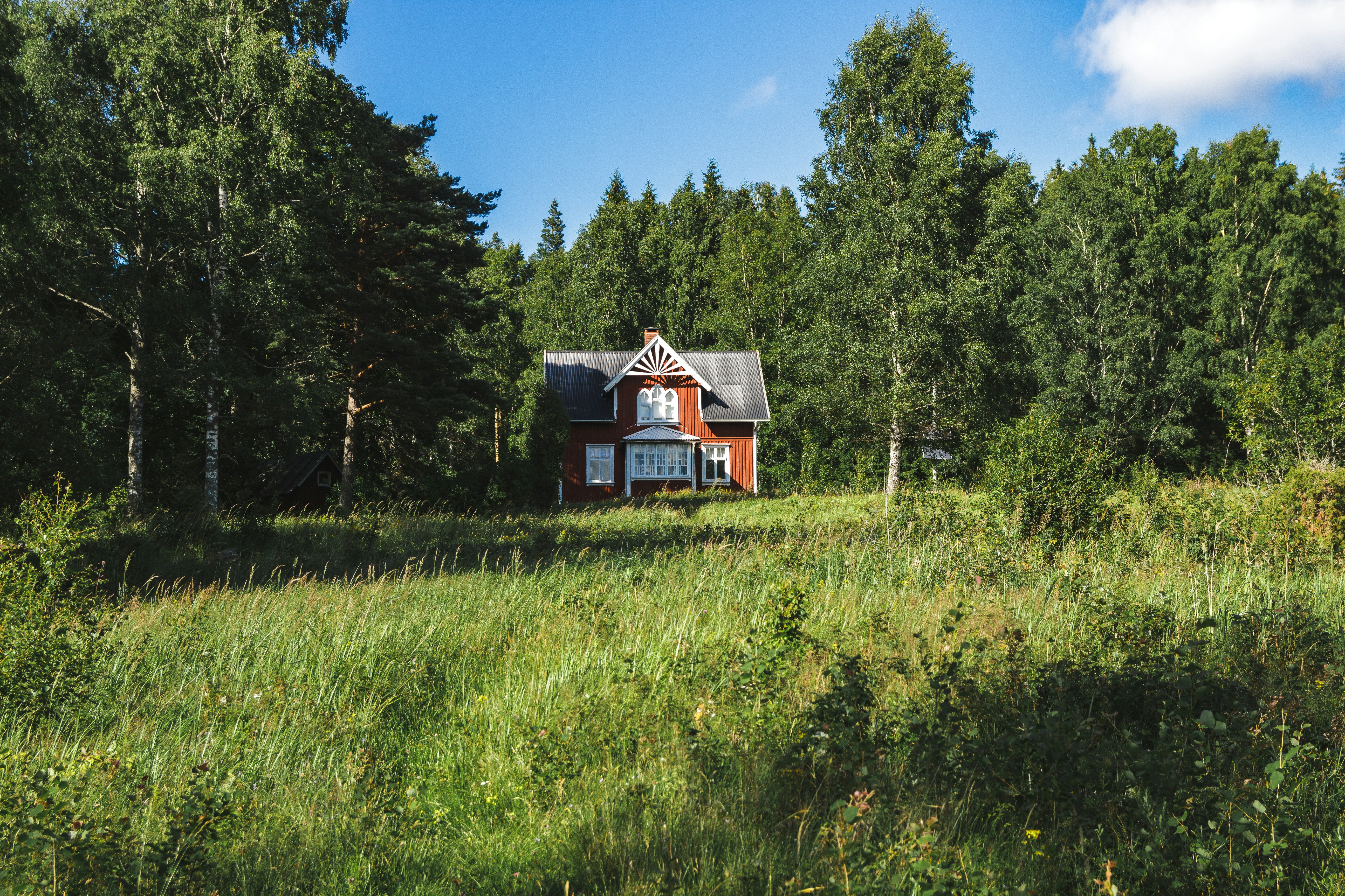 a house in a grassy field