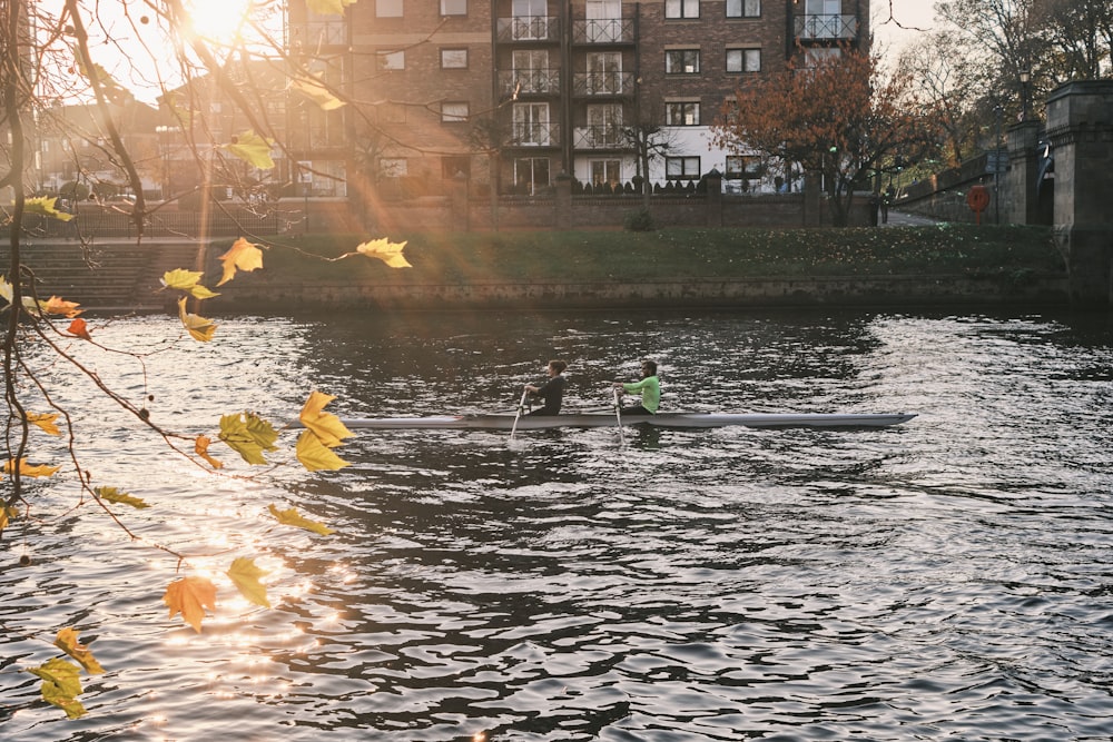 a group of people rowing a boat