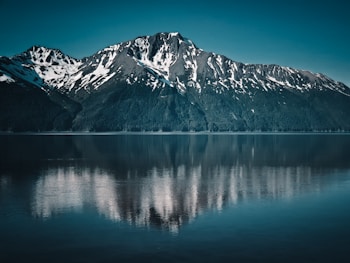 Photo 1668520018880 1d60d113a6e3?q=85&w=350&h=300&fit=crop