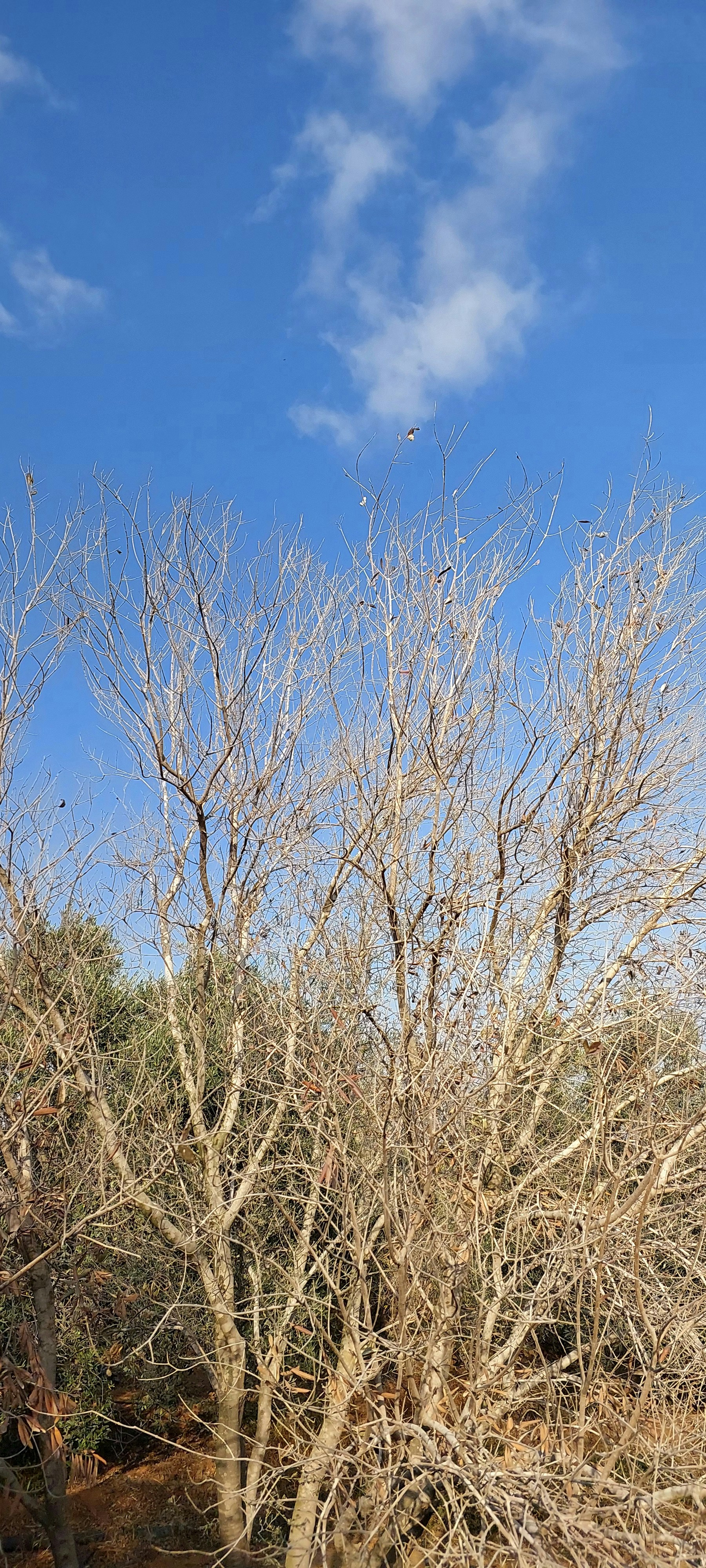 Photo by mohamedsaadnasr