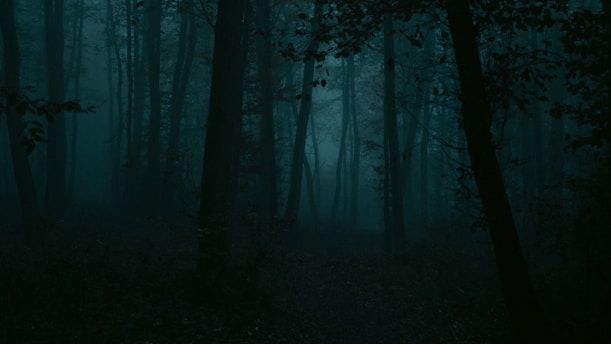 A mysterious dark fantasy forest with twisted trees and glowing shadows.