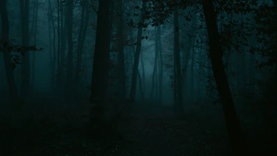 A mysterious dark forest under a moonlit sky with eerie shadows.