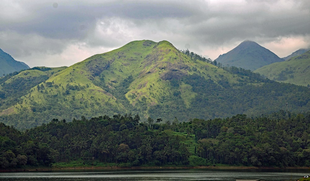 a landscape with trees and mountains in the back