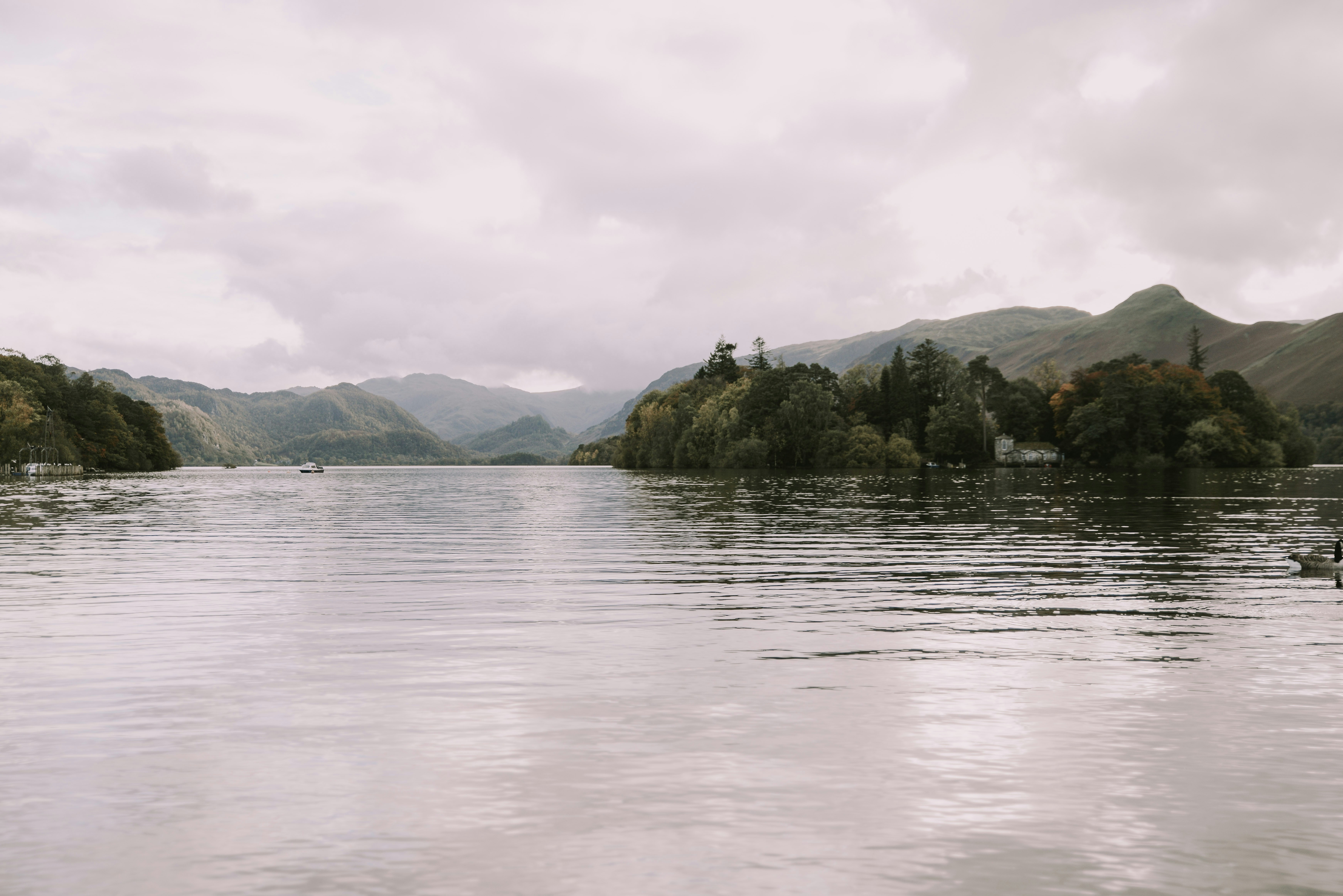 Photo by anitaaustvika