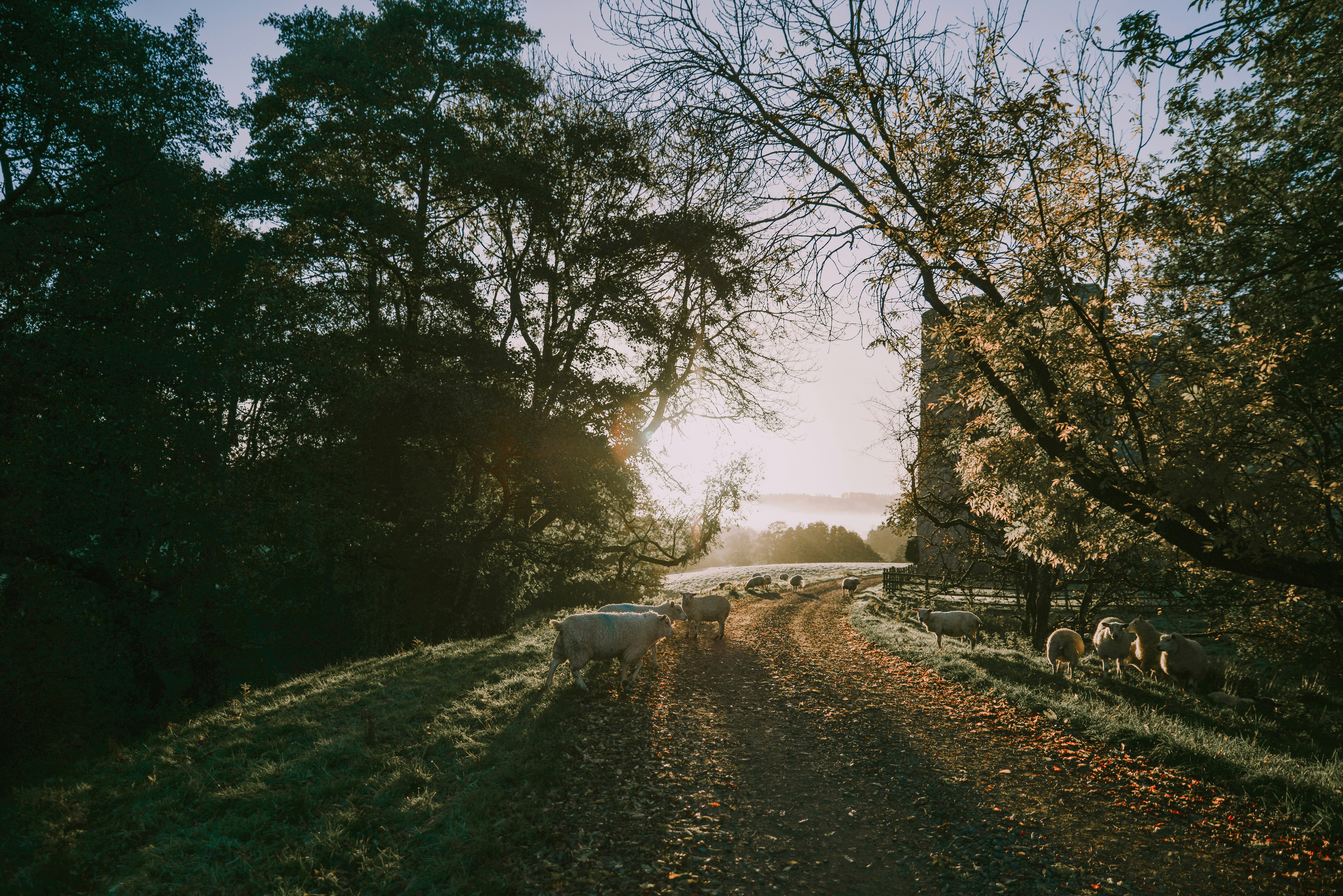 Photo by anitaaustvika