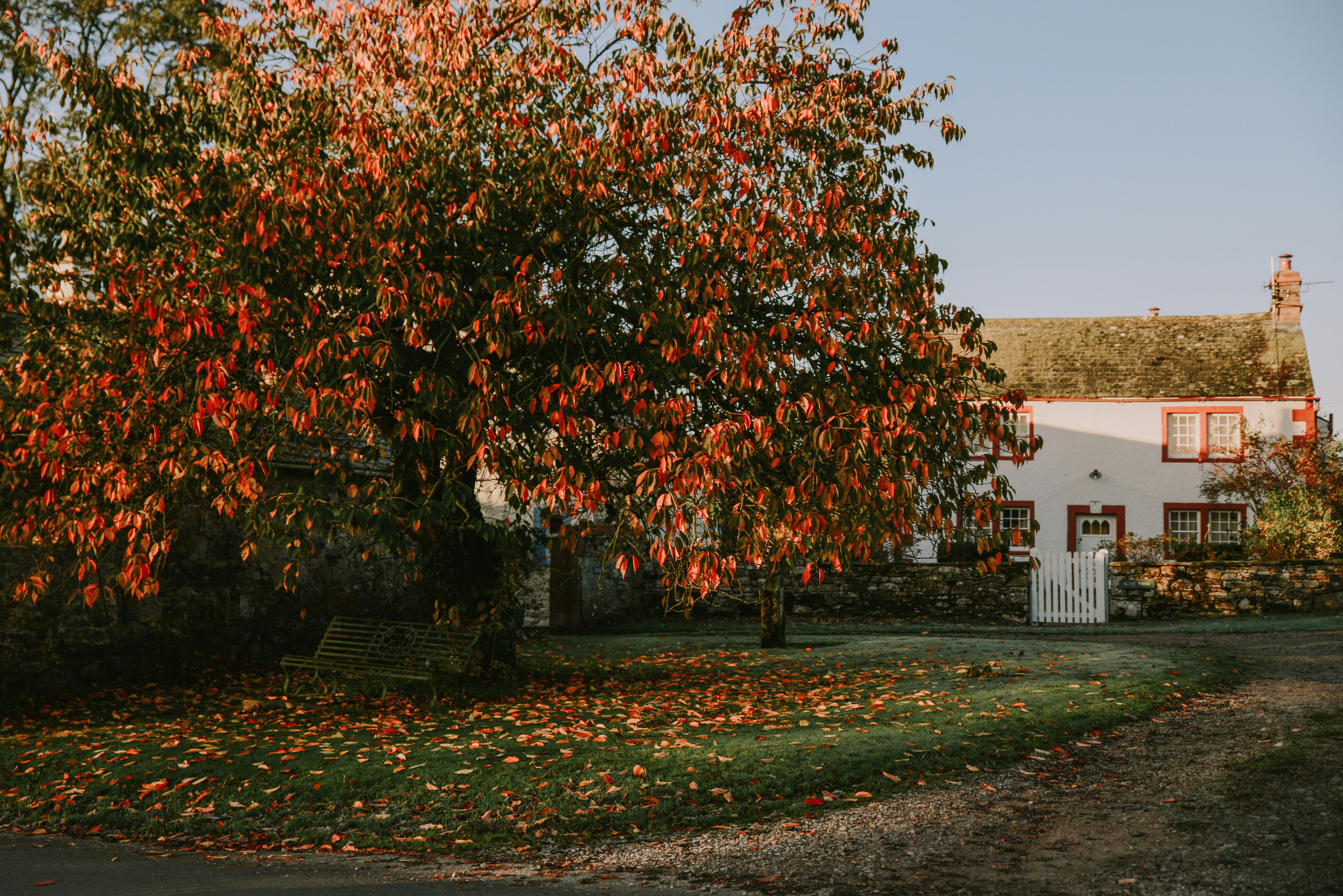 Photo by anitaaustvika