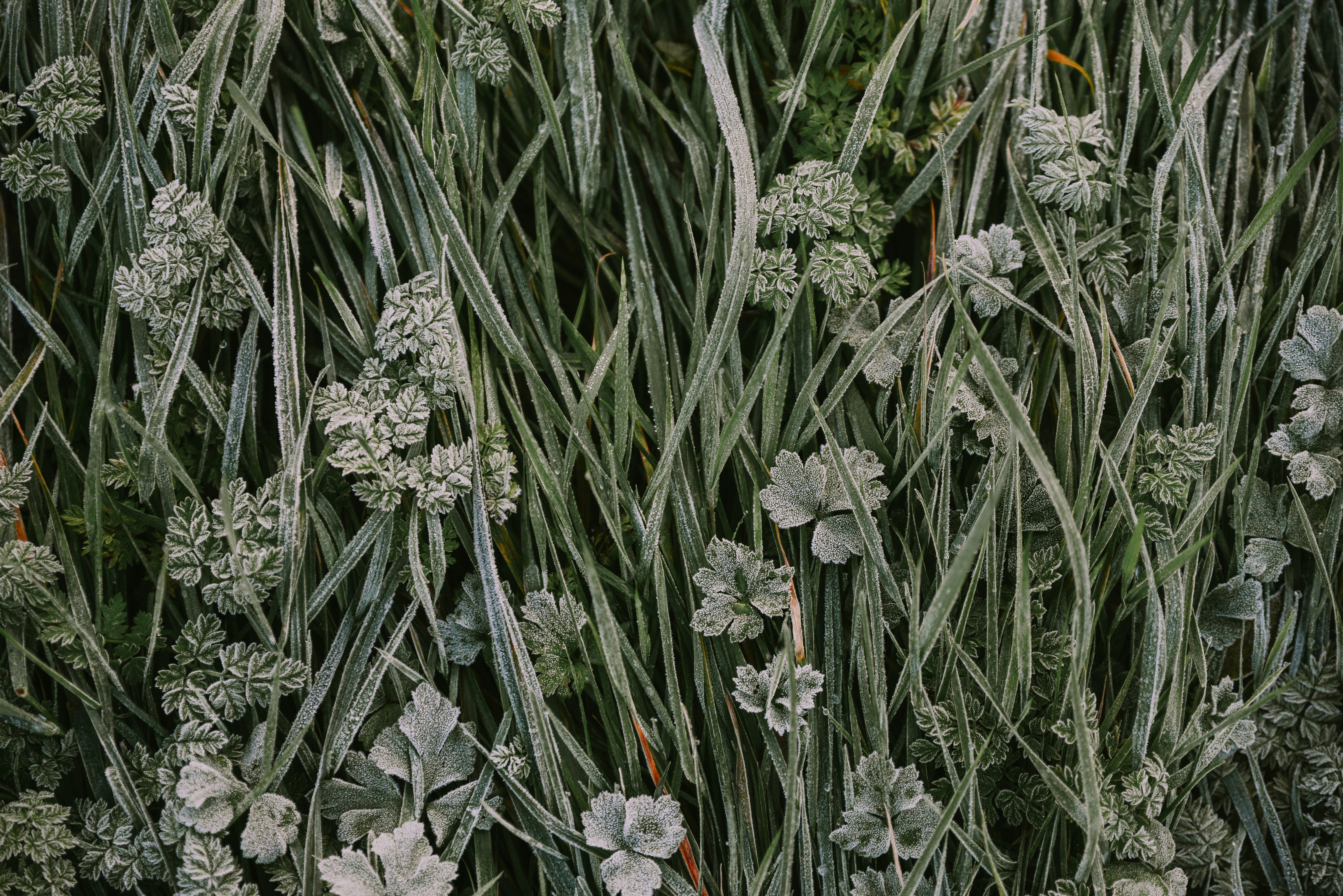 Photo by anitaaustvika