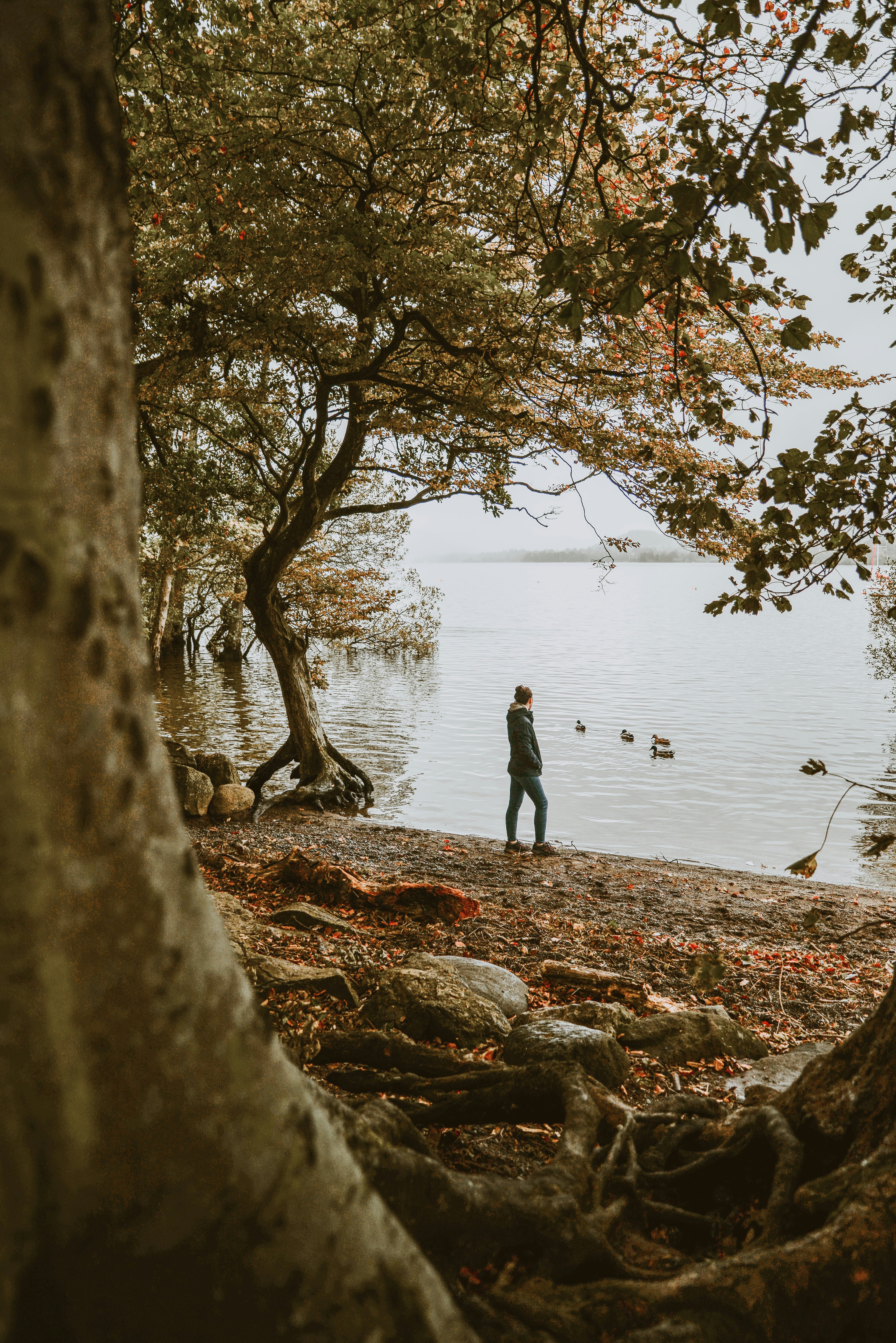 Photo by anitaaustvika