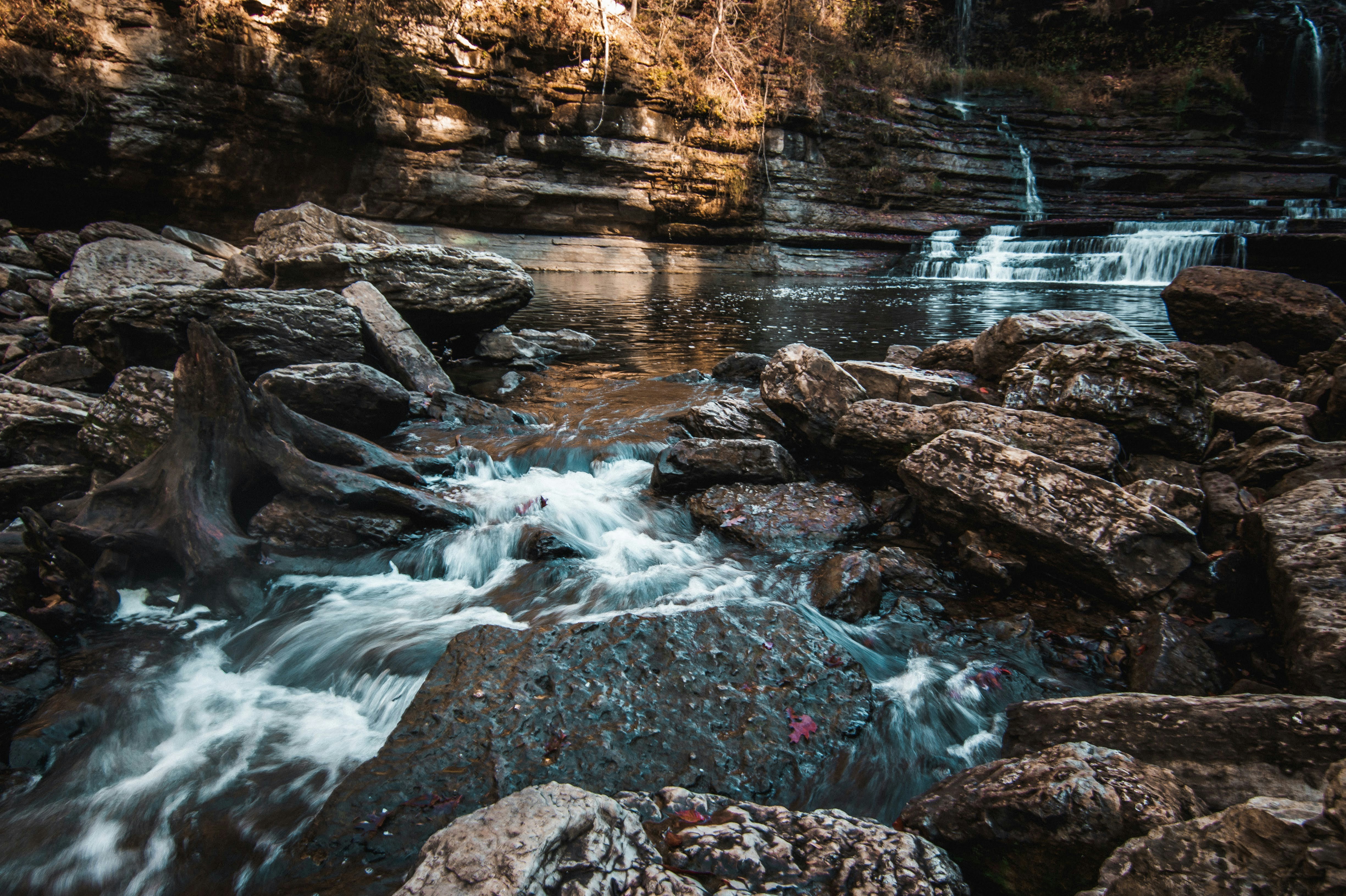 Photo by brice_cooper18