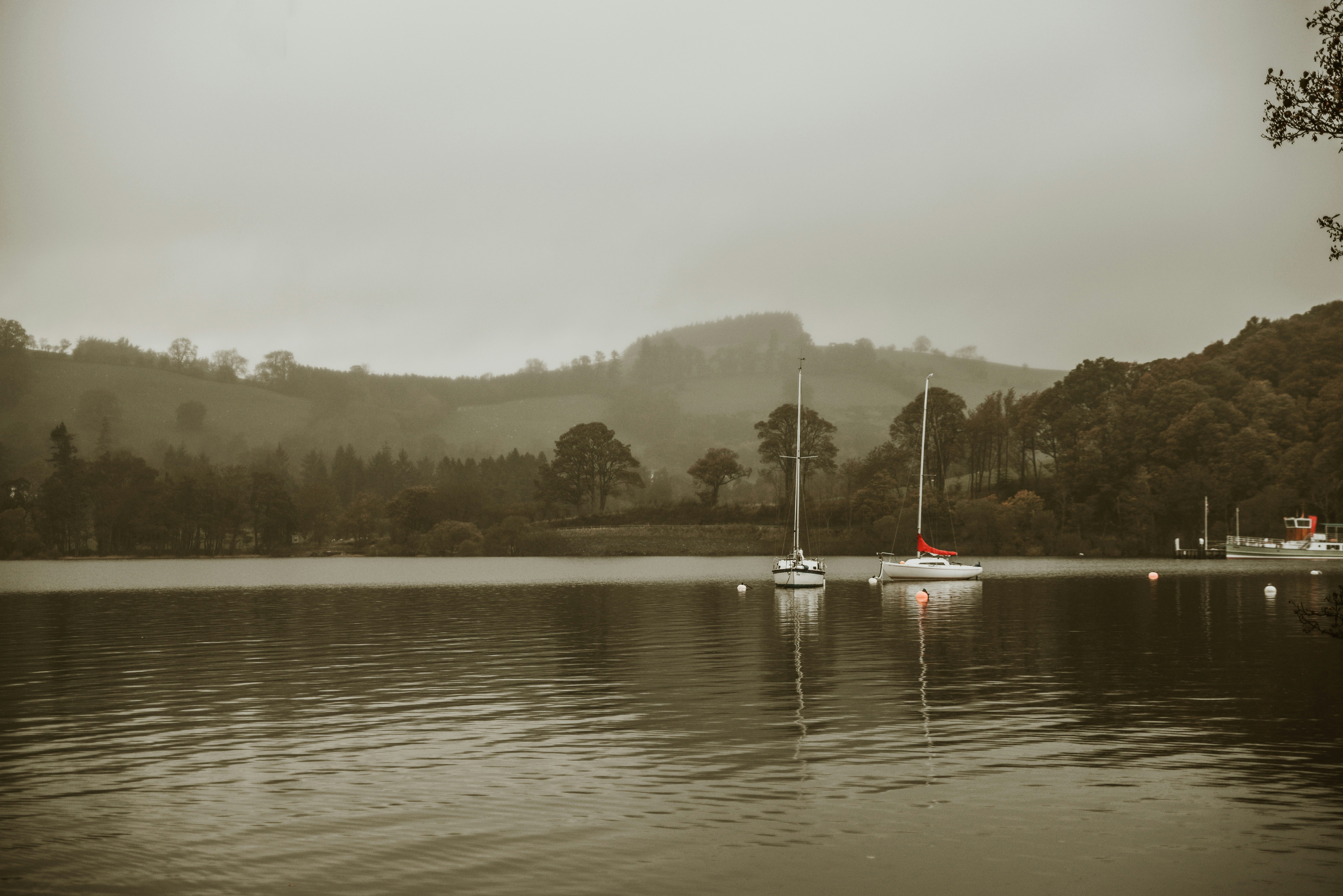Photo by anitaaustvika