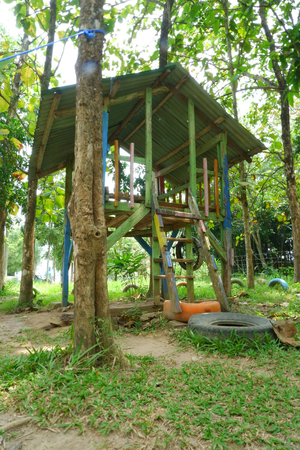 a tree house in a forest
